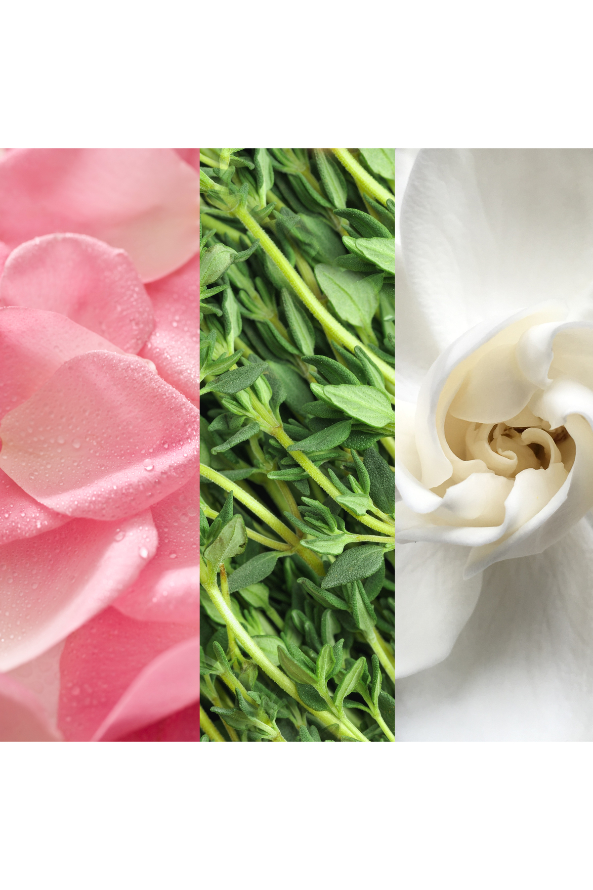 Facial Spray with Aloe, Herbs and Rosewater-Anında Nem ve Işıltı 118 ml — MS1084201214 — تصویر 4 از 4