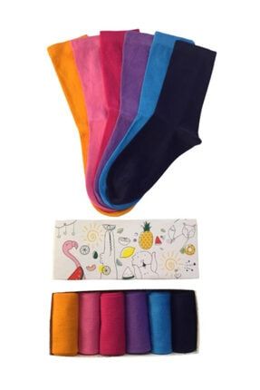 6'lı Pastel Renkler Çorap Özel Kutulu P1999