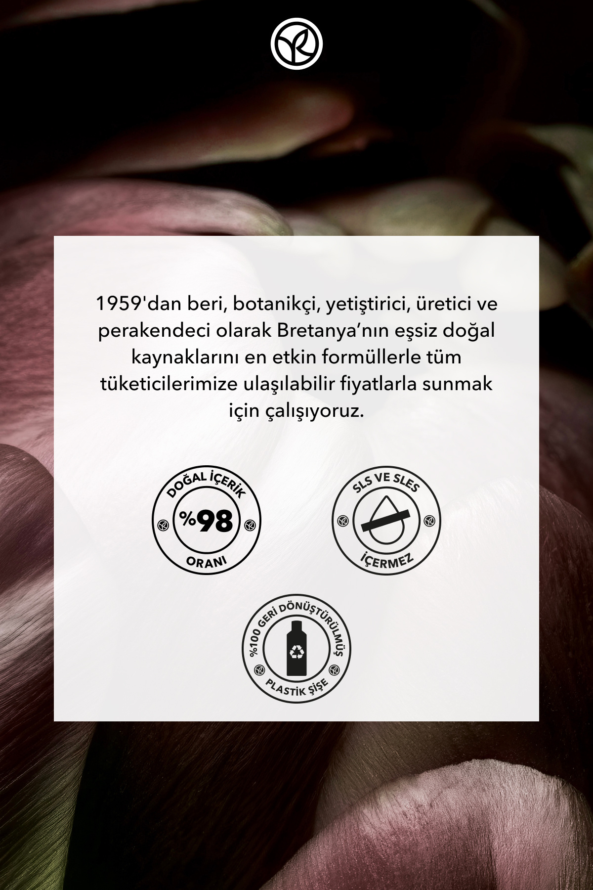 Bitkisel Keratin Bakım Kremi - Tüm Saçlar/Onarıcı / Şekillendirici / Reparation -Prebiyotik,Vegan-15 — 96971 — تصویر 9 از 9