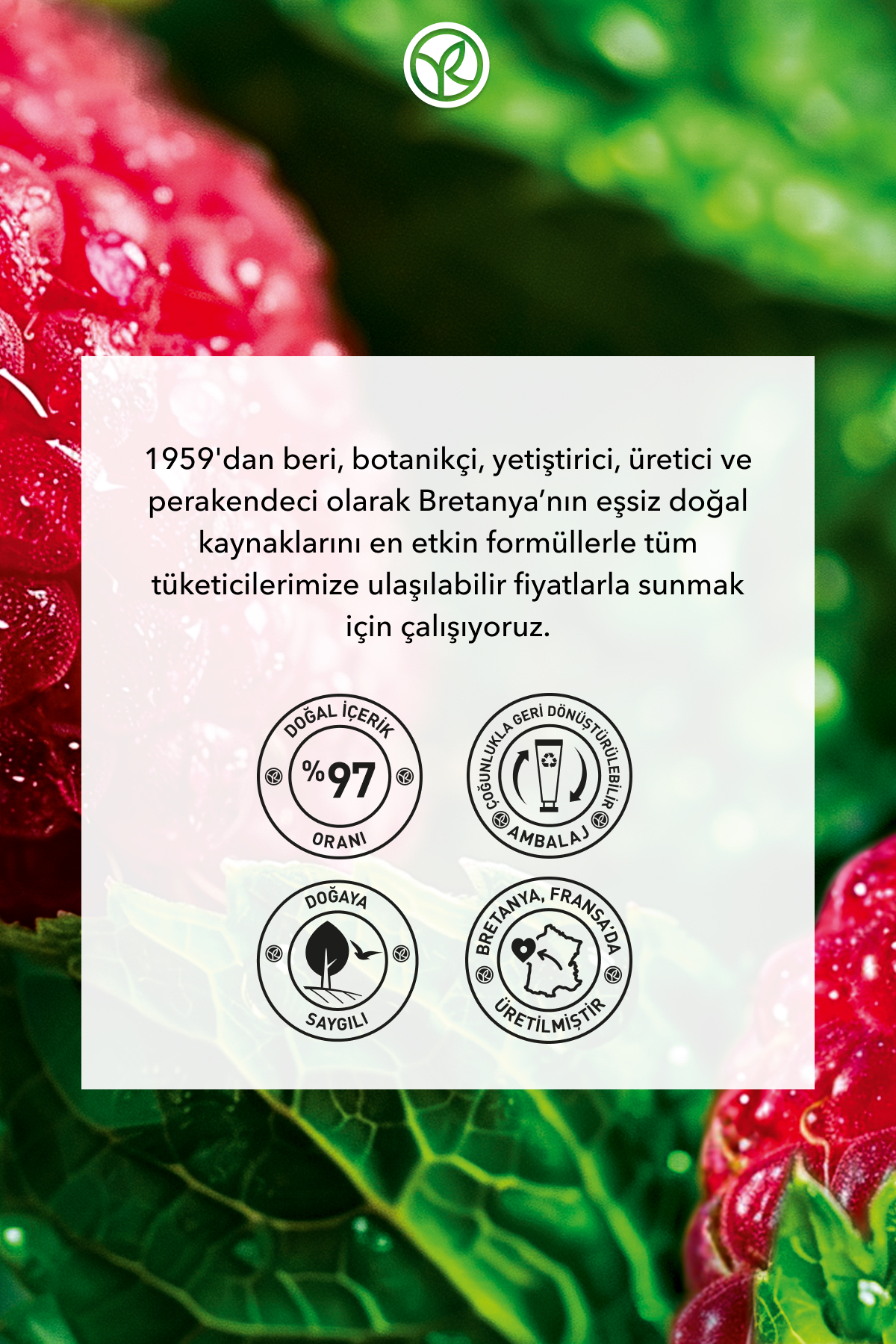 Jel Dokulu Vücut Peelingi-Arındırıcı&Yumuşatıcı Enerjik Frambuaz Nane -SLS,SLES İçermez,Vegan-150ml — 70415 — تصویر 8 از 8
