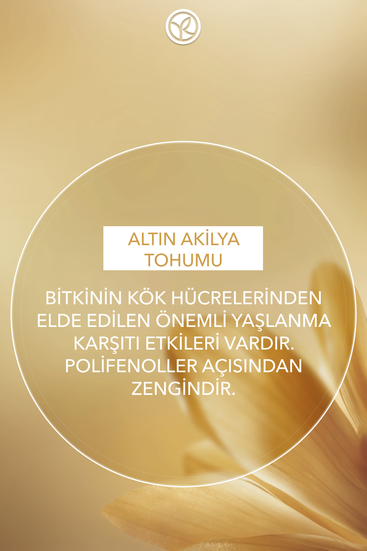 Gece Serumu-Niasinamid&Hyaluronik Asit-Yaşlanma Karşıtı Bitki Kök Hücre Bakımı Anti Age Global 30ml — 99206 — تصویر 8 از 8