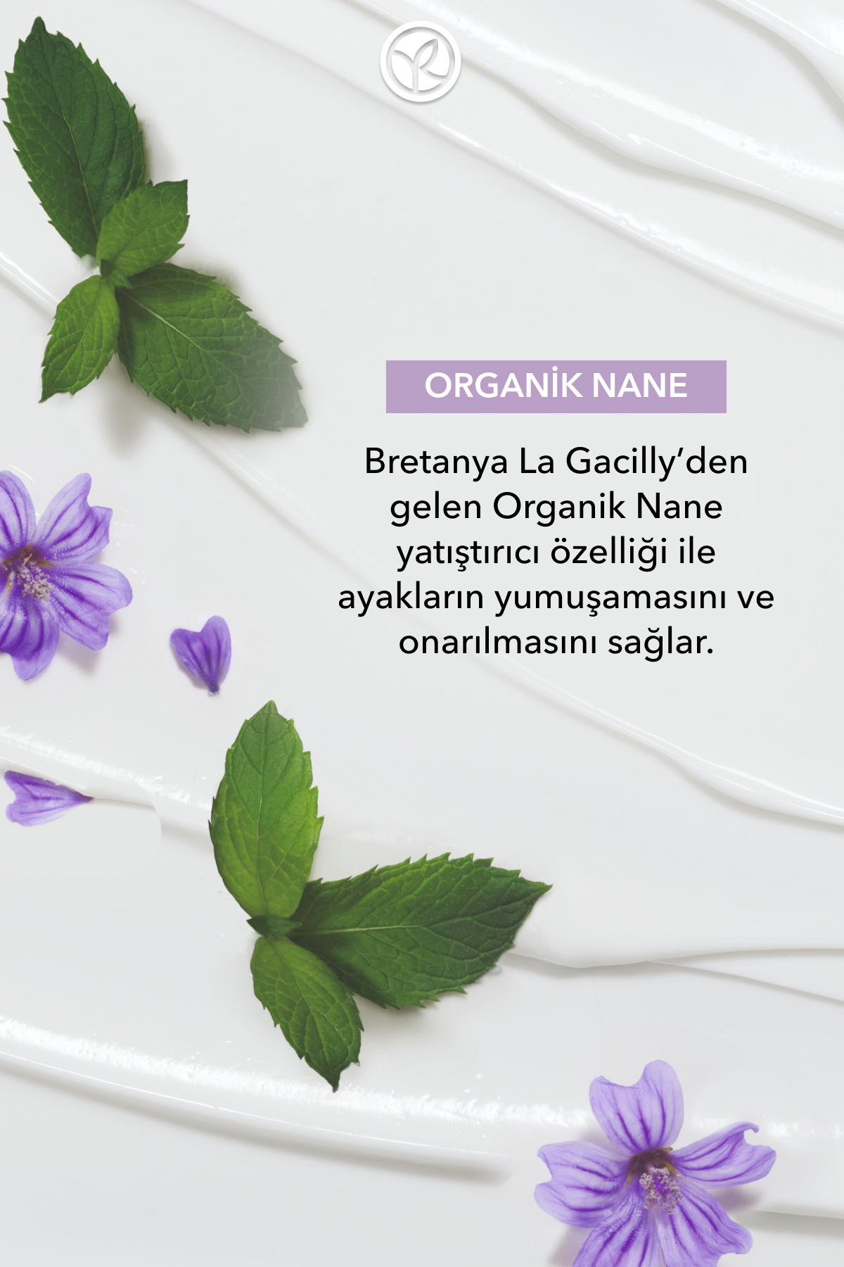 Ayak ve Topuk Peelingi - Yumuşatıcı Yenileyici-75 ml-21116 — تصویر 6 از 8