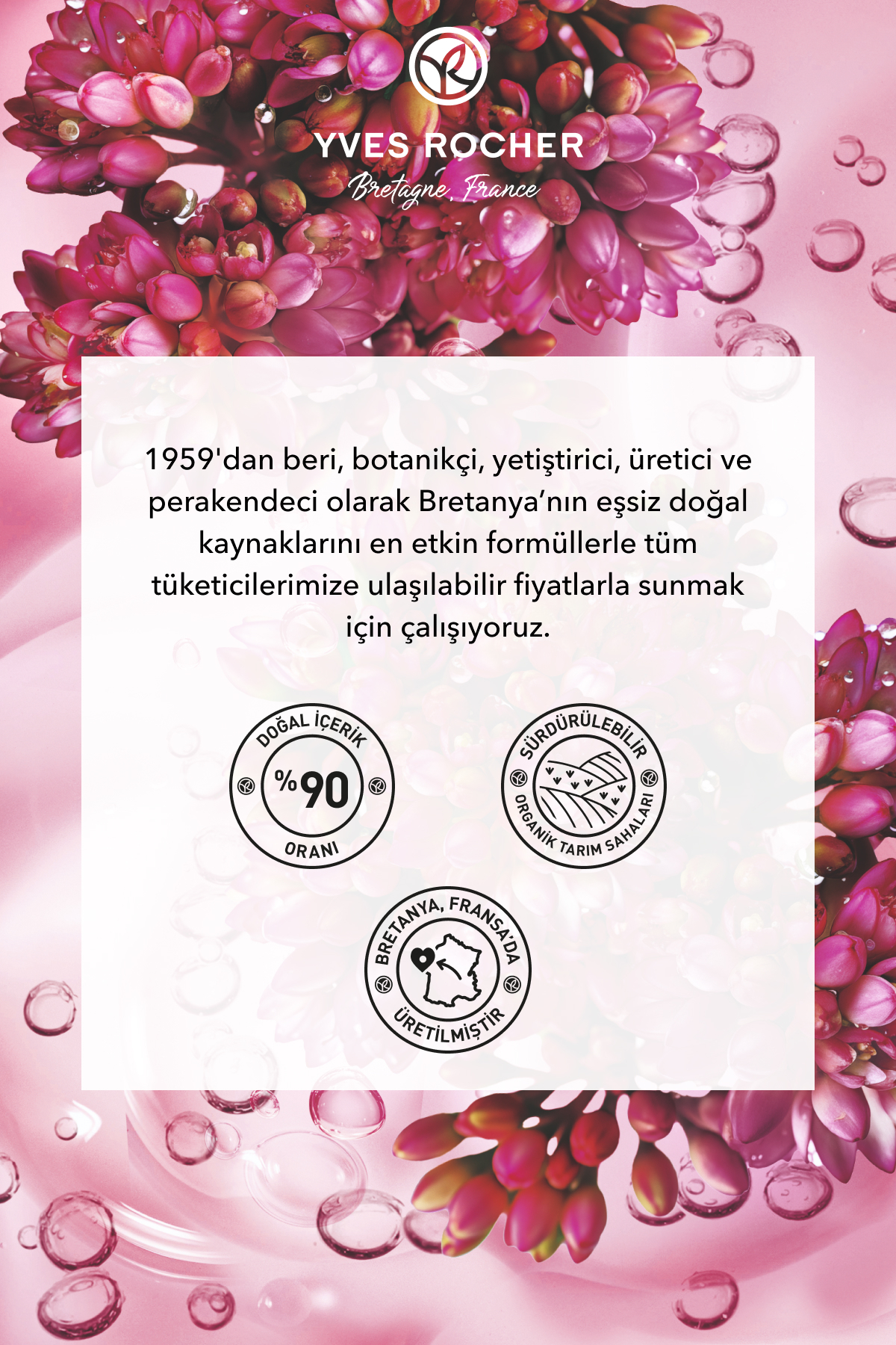 Selülit Karşıtı Sıkılaştırıcı Krem -17551 — تصویر 6 از 7