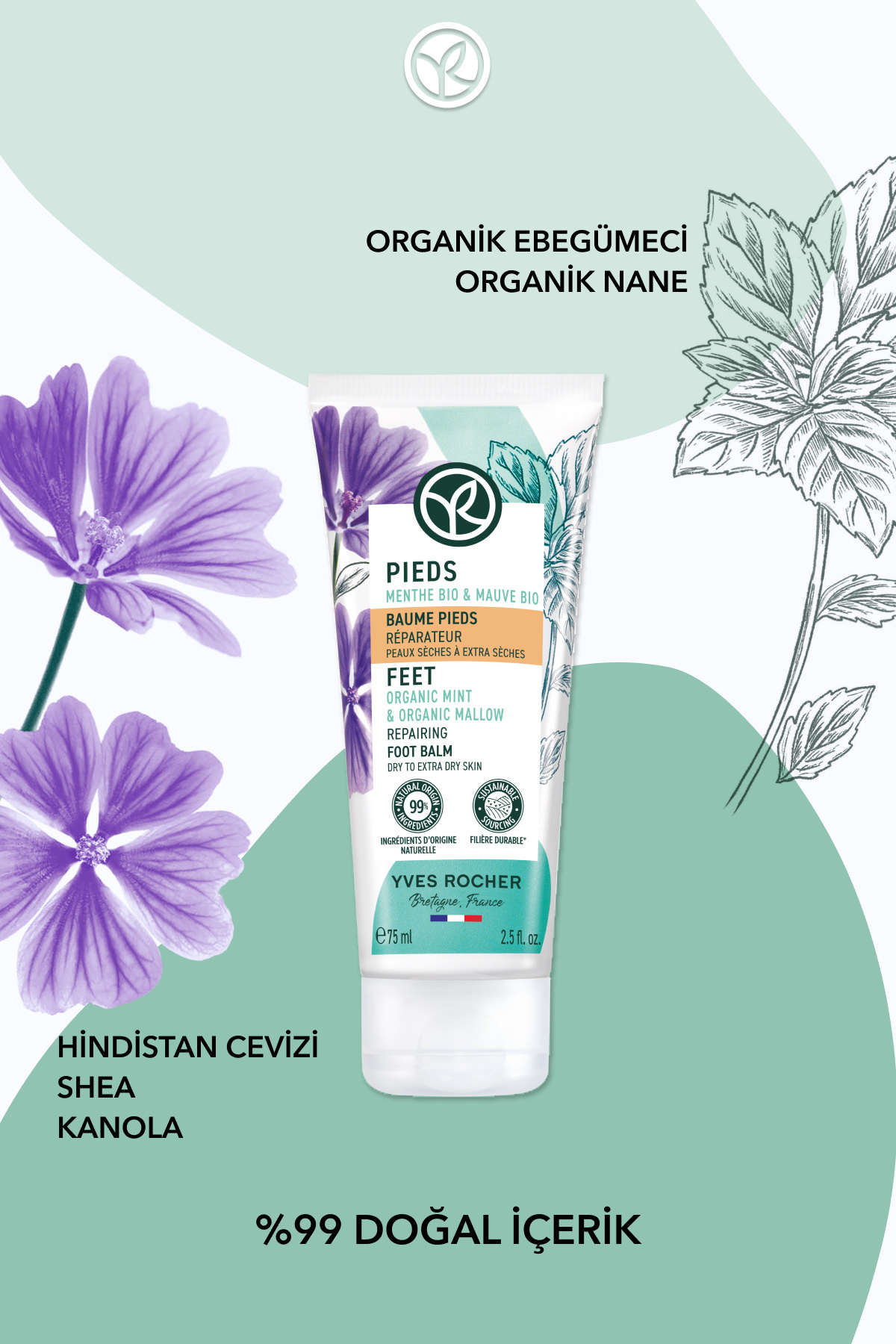 Ayak Bakım Kremi - Onarıcı ve Yumuşatıcı-75 ml-19280 — تصویر 4 از 8