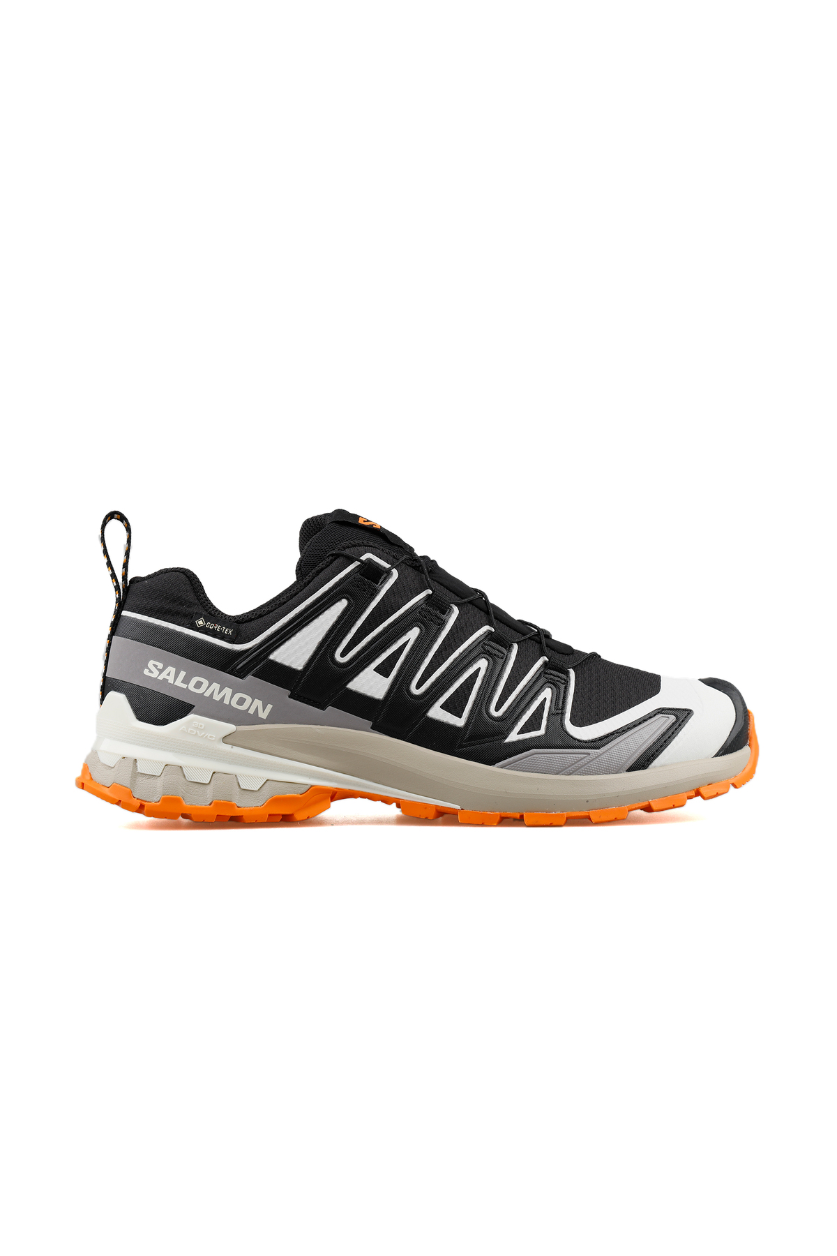 کفش‌های مردانه مخصوص فضای باز Xa Pro 3D V9 Gore-Tex (ضد آب) سالومون کفش بیرونی Salomon