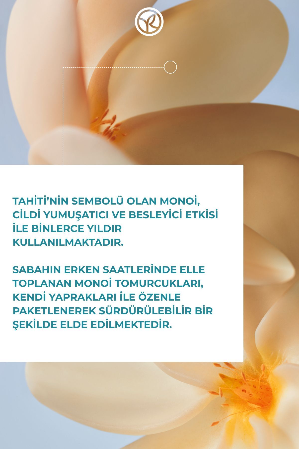 Monoi Nemlendirici Besleyici El Kremi-Tüm Ciltler- Monoi de Tahiti- Vegan-30ml — 31623 — تصویر 6 از 7