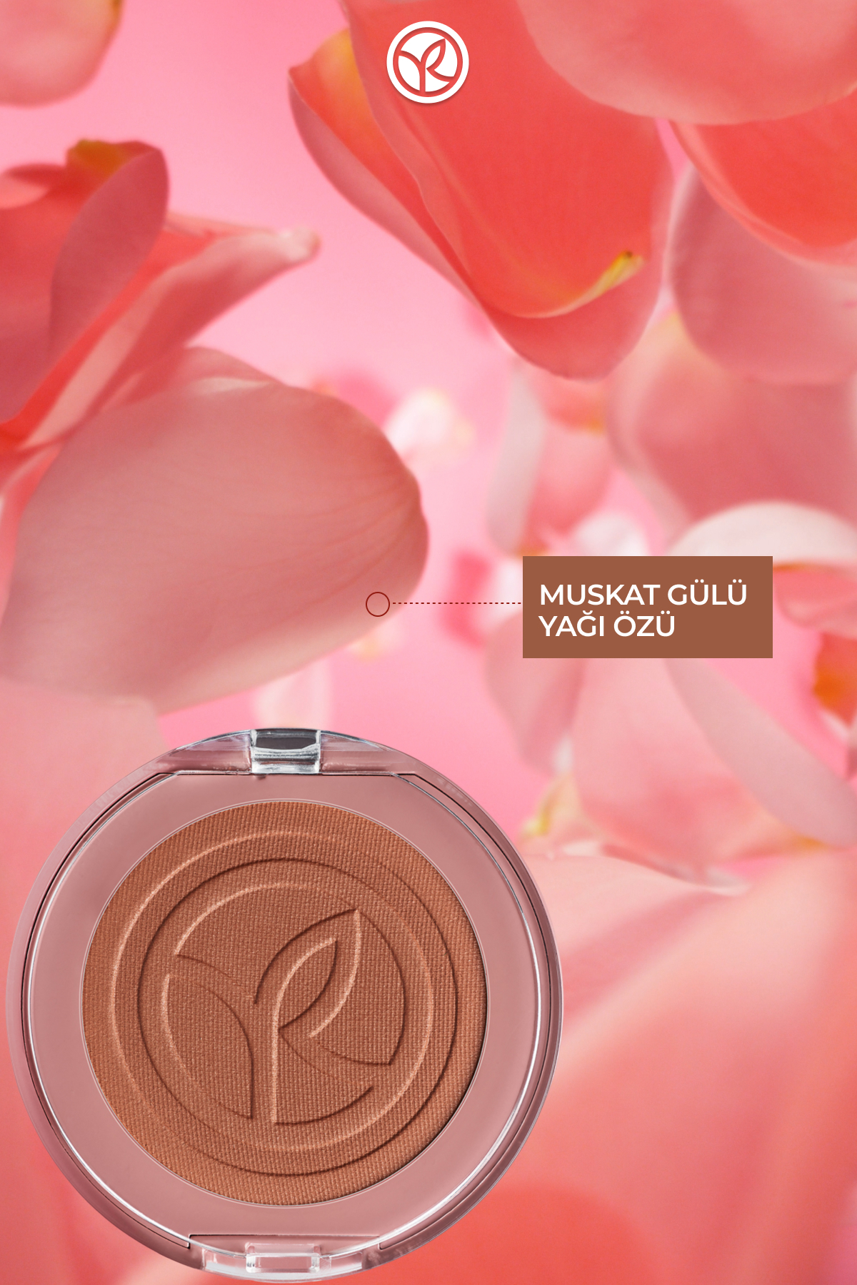 Blush-akaju Brown-3.3 G-89891 — رنگارنگ W88737 — تصویر 2 از 6