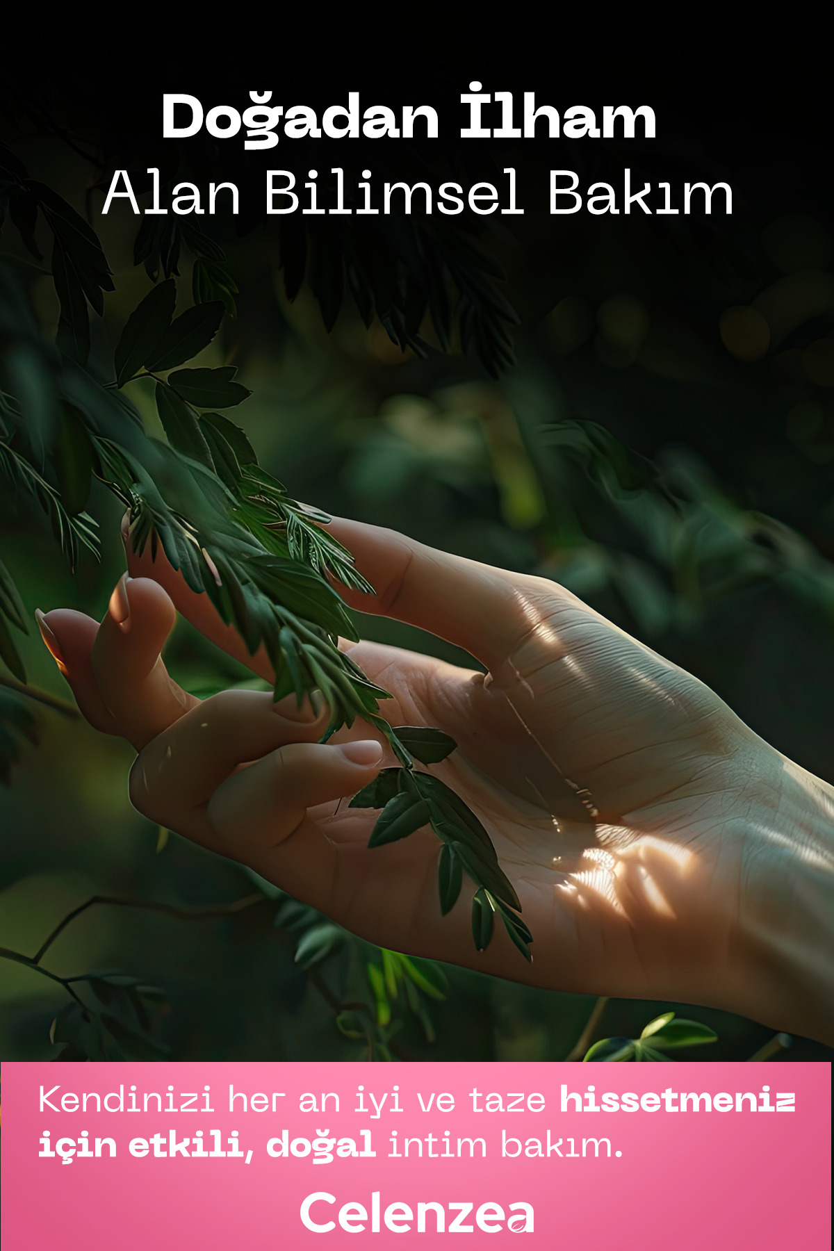 Nioli Uçucu Yağı %100 Doğal Distilasyon Yağı, Kötü Koku Önleyici İntim Bakımı ve Gözenek Arındırıcı Cilt Bakımı, Niaouli Essential Oil (Melaleuca Viridiflora) 10ml — TYC00544709919 — تصویر 3 از 4