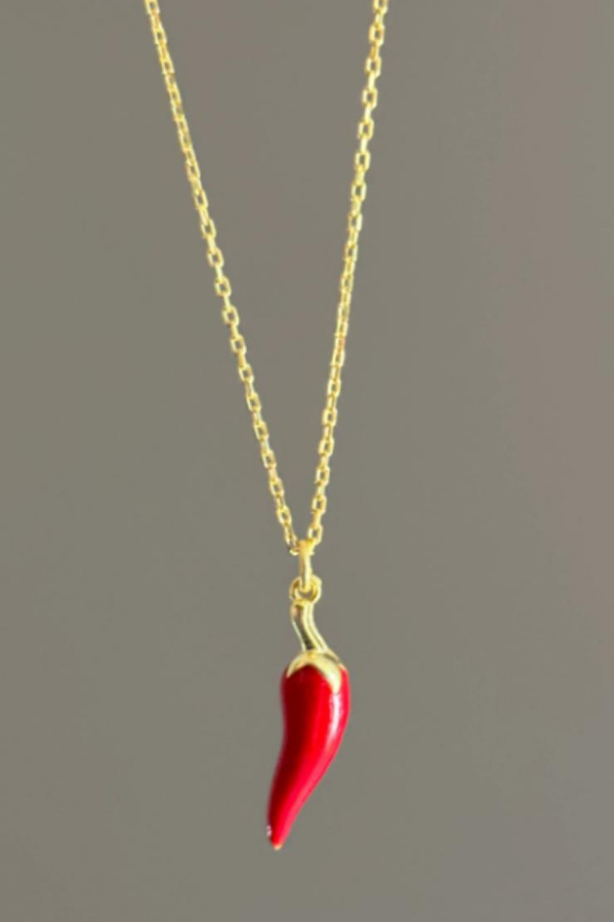Silvano Jewelry 925 Ayar Gümüş Bolluk Bereket Şans Mineli Biber Kolye
