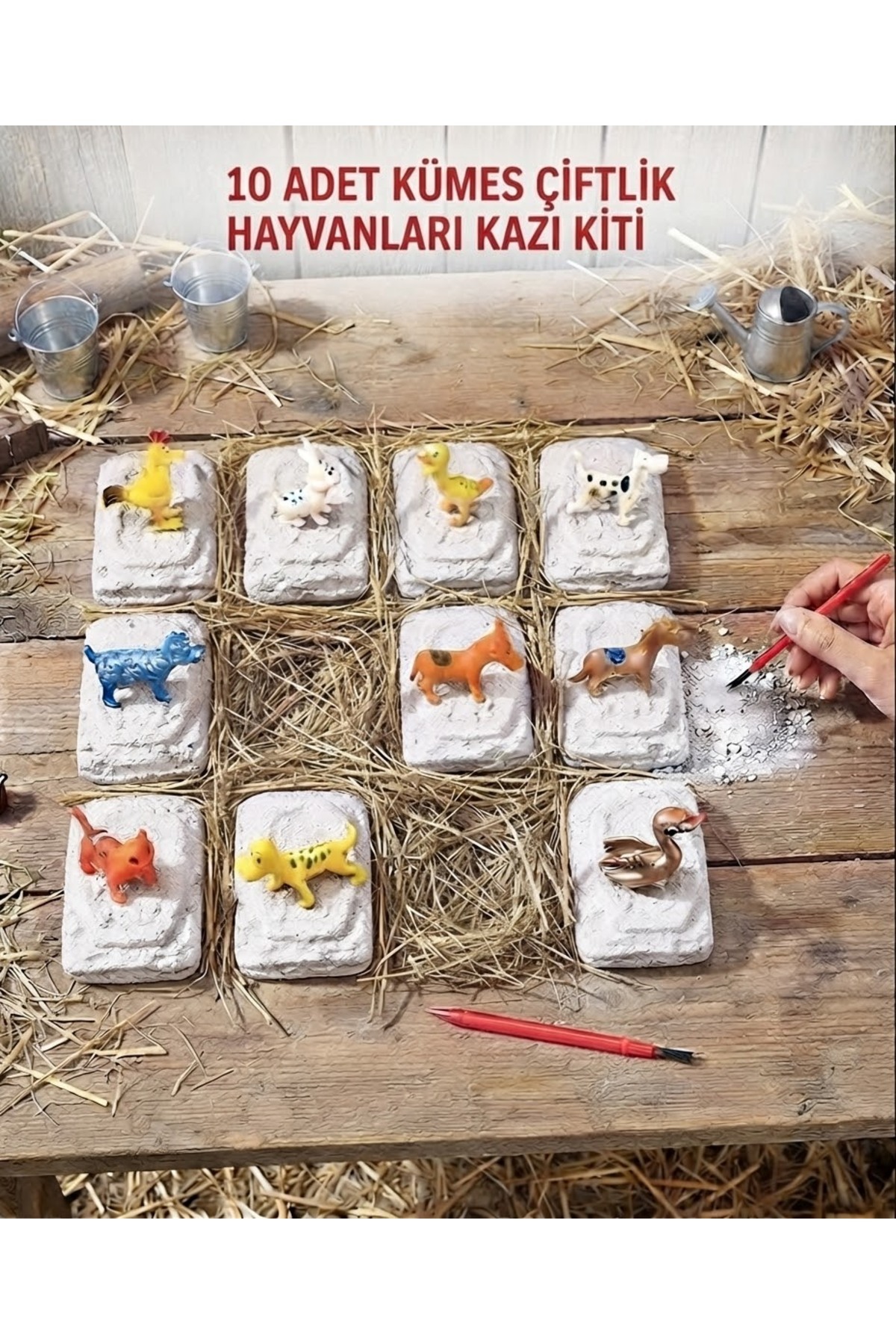 AZİZ OYUNCAK 🐣 10 Adet Kümes Çiftlik Hayvanlari Kazı Kiti