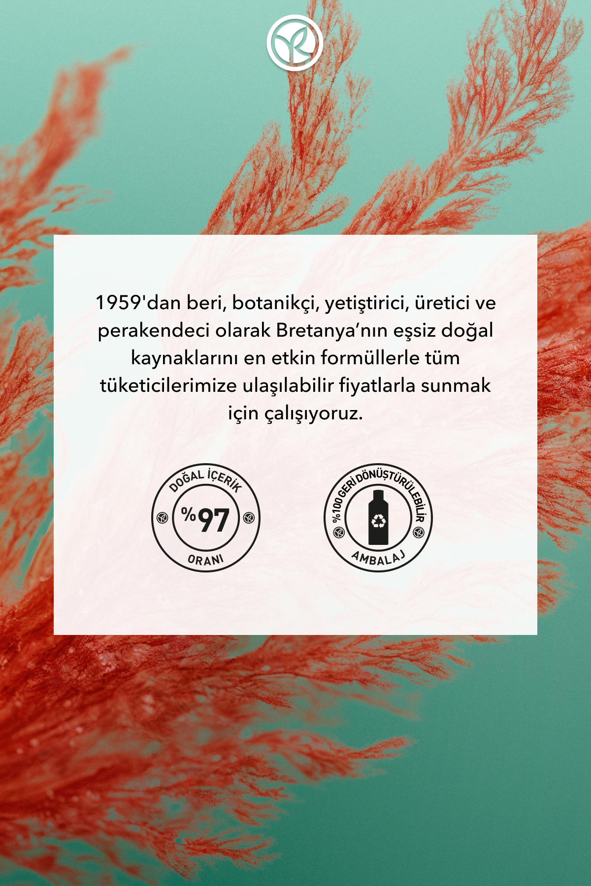 Arındırıcı 2si1 Arada Peeling ve Maske - Yağlı Saçlar / Purete - Vegan -200ml — 93093 — تصویر 8 از 8