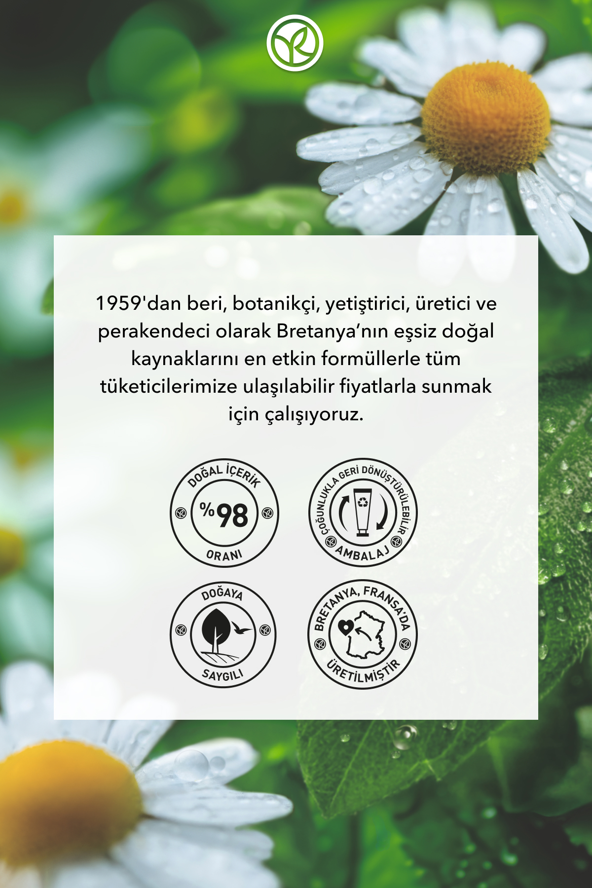 El Kremi- Nemlendirici Besleyici Tazeleyici Mine Çiçeği Papatya- Vegan — 7935 — تصویر 8 از 8