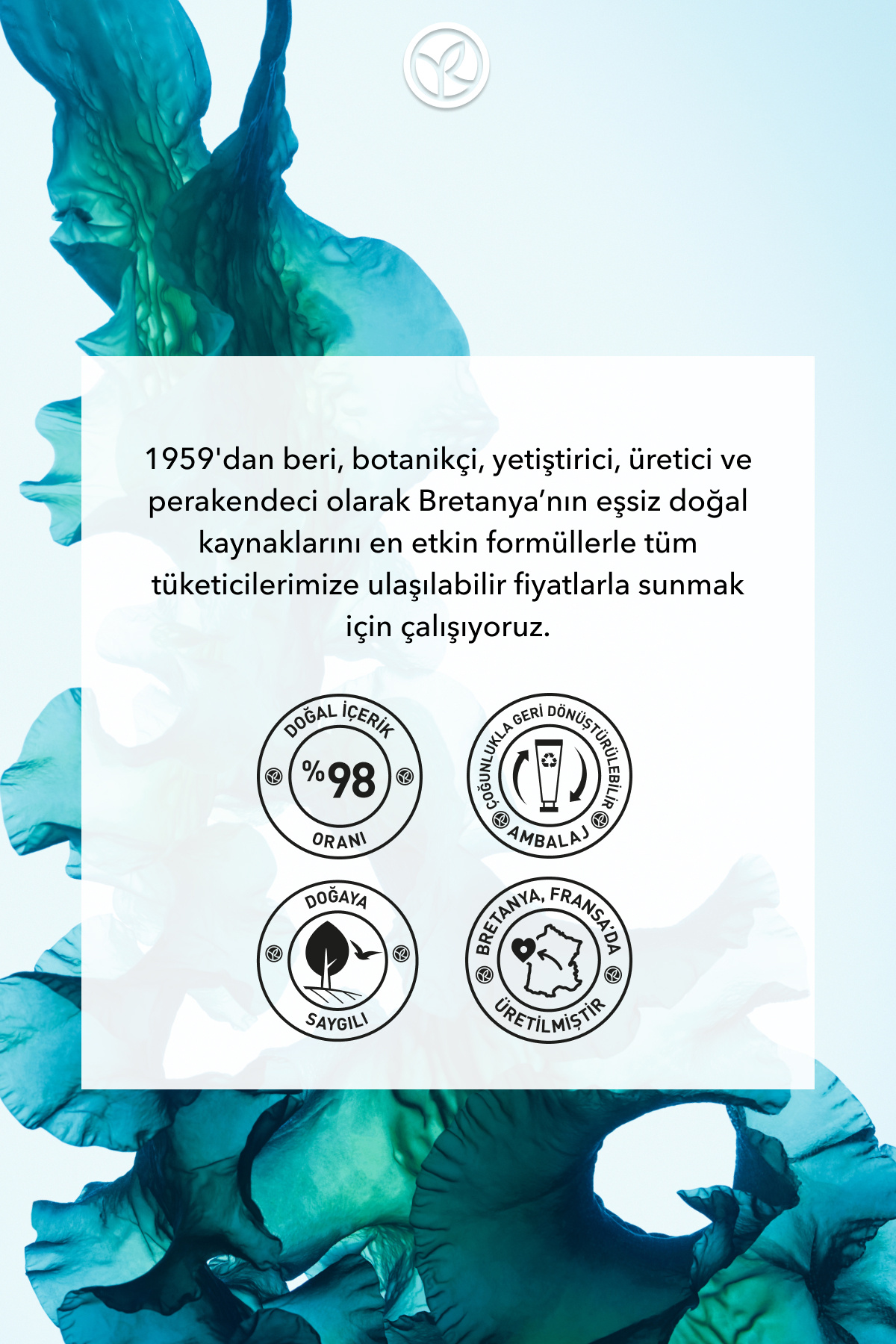 Jel Dokulu Vücut Peelingi-Arındırıcı&Yumuşatıcı&Serinletici Okyanus Esintisi-SLS,SLES İçermez,Vegan- — 69296 — تصویر 8 از 8