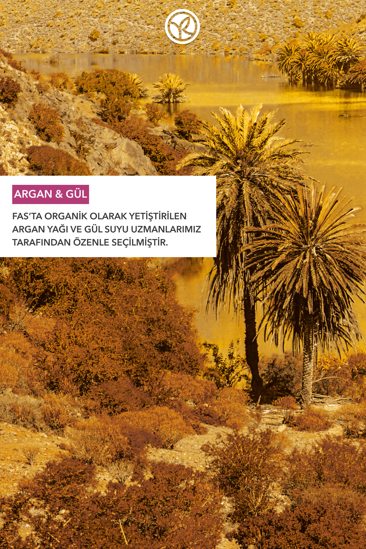 El Kremi- Nemlendirici Besleyici Oryantal Argan Gül - Vegan-30ml — 72426 — تصویر 3 از 8