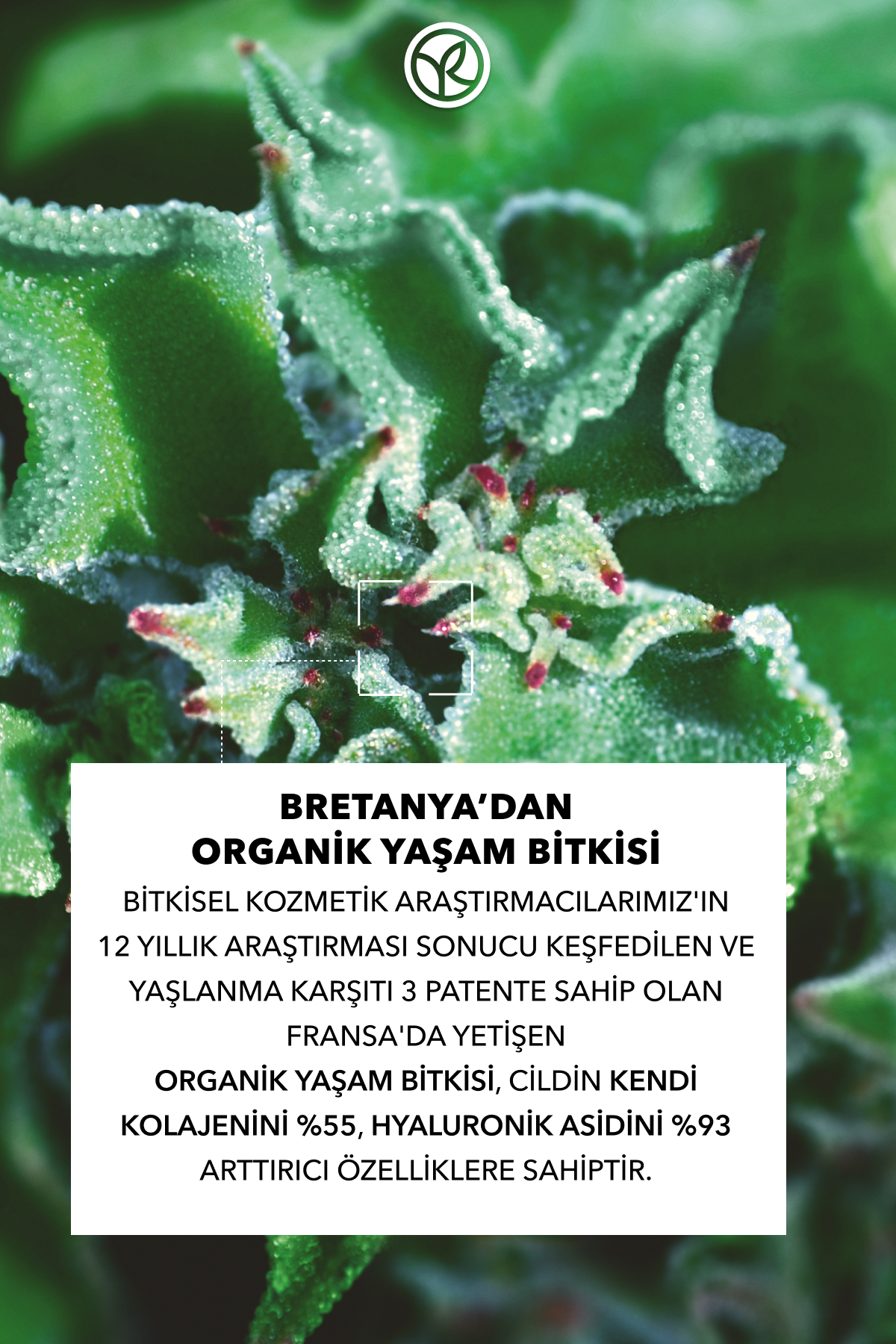 Serum-Sıkılaştırıcı,Dolgunlaştırıcı Bitkisel Kolajen ve Hyaluronik Bakım/Lift Pro Collagene — 41019 — تصویر 5 از 8