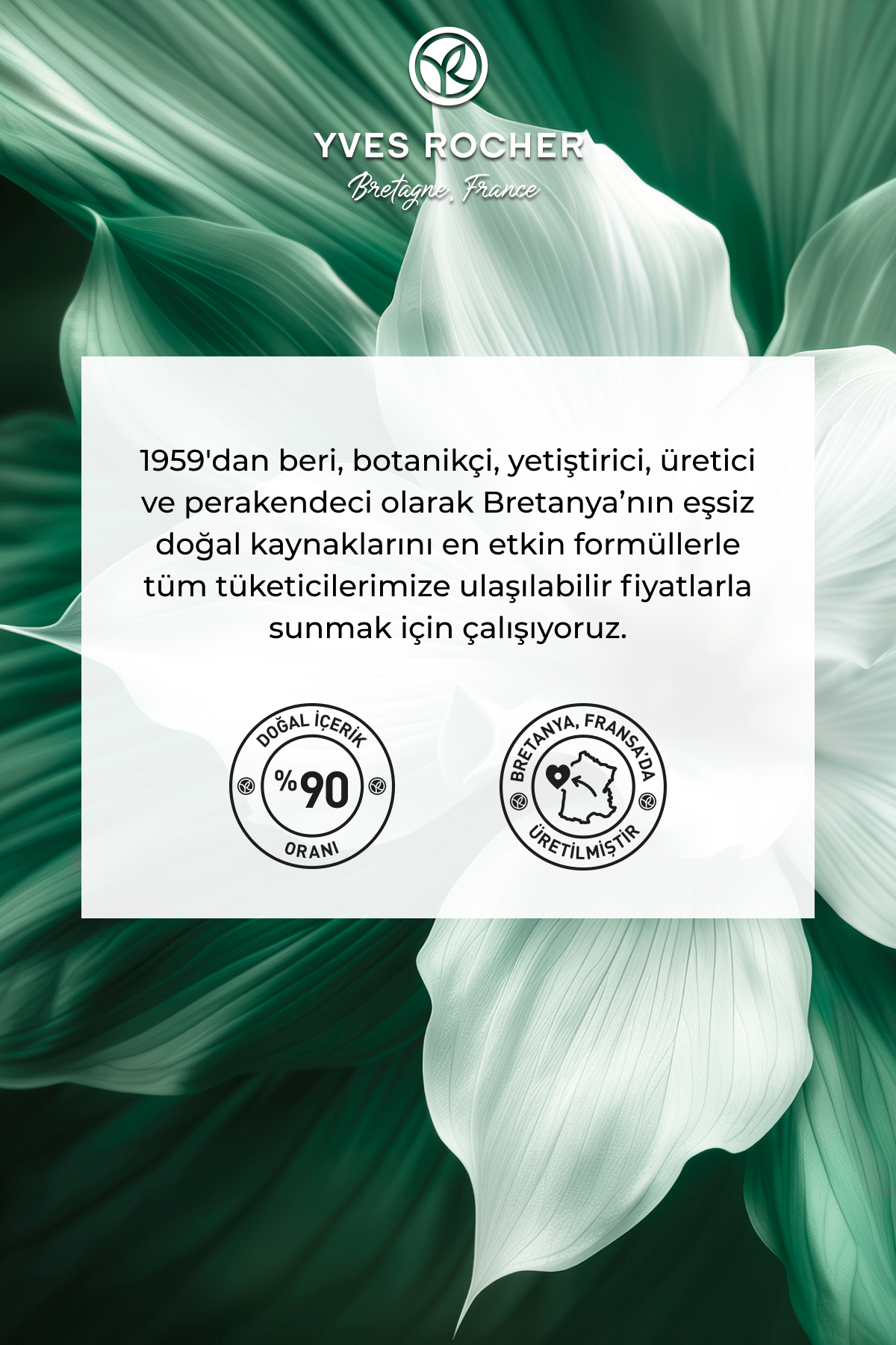 Kaş Sabitleyici Maskara-Transparan-39287 — رنگارنگ W54313 — تصویر 8 از 8