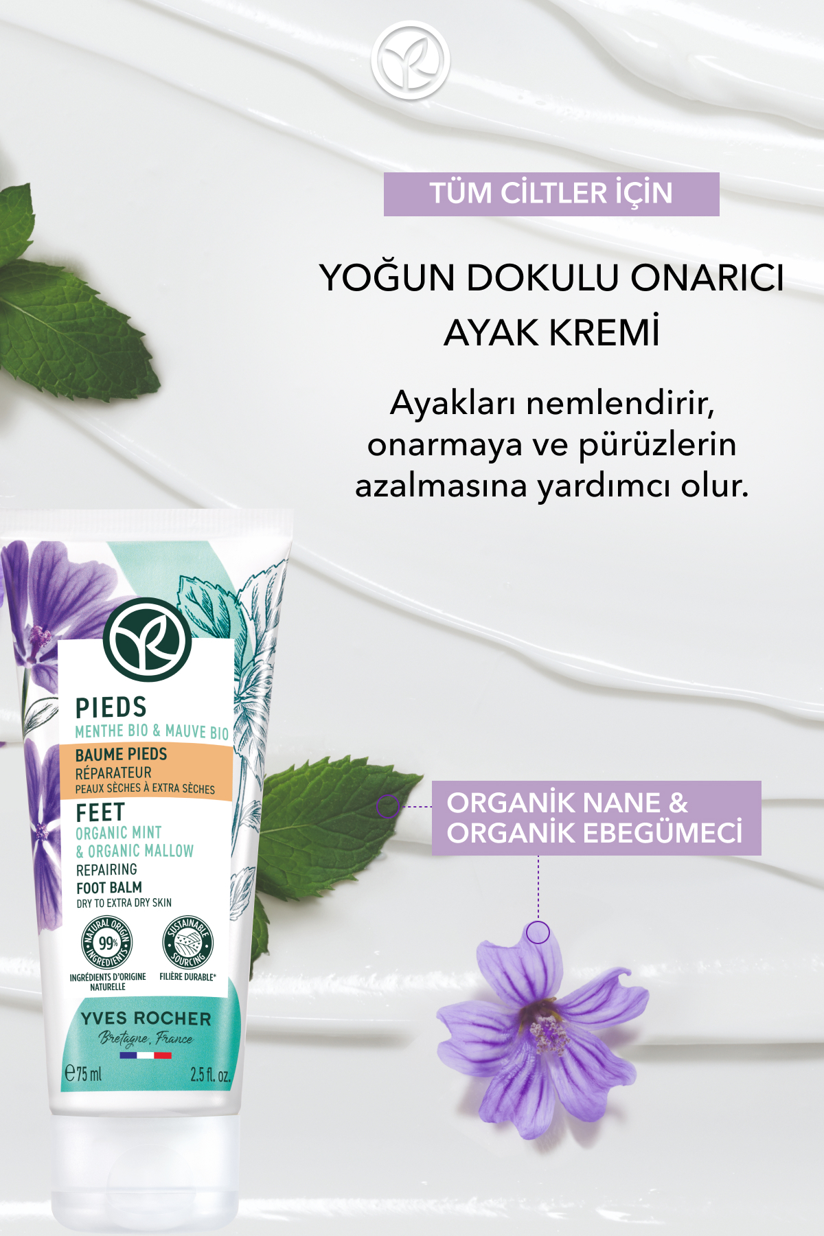 Ayak Bakım Kremi - Onarıcı ve Yumuşatıcı-75 ml-19280 — تصویر 2 از 8
