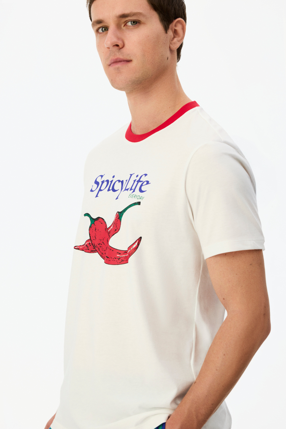 Penti Erkek Spicy Life Sebze Desenli Kısa Kollu Şort Pijama Takımı görsel 3