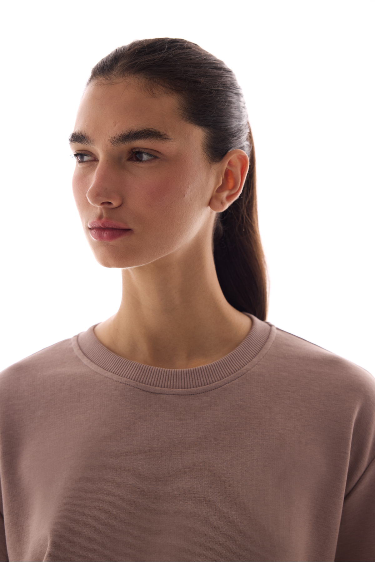 Penti Bej Bisiklet Yaka Regular Kesim Pamuklu Sweatshirt görsel 3