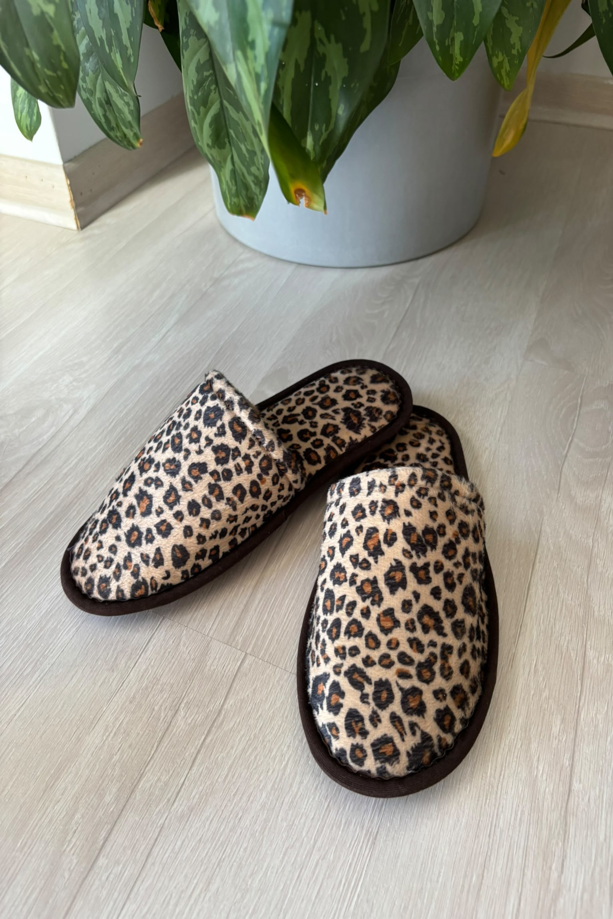 YILDIZ SHOES 3 Çift Kadın Ev terliği Leopar Desen Misafir Çeyiz Bohça Terliği görsel 3