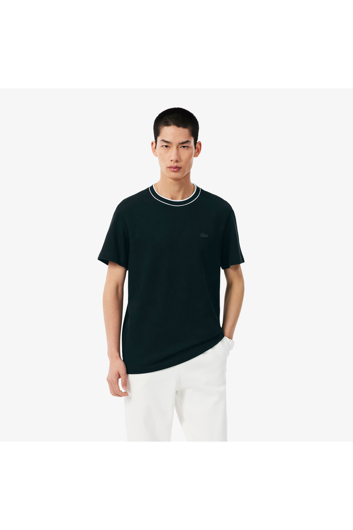تیشرتمردانهLacosteآبی سرمه‌ای