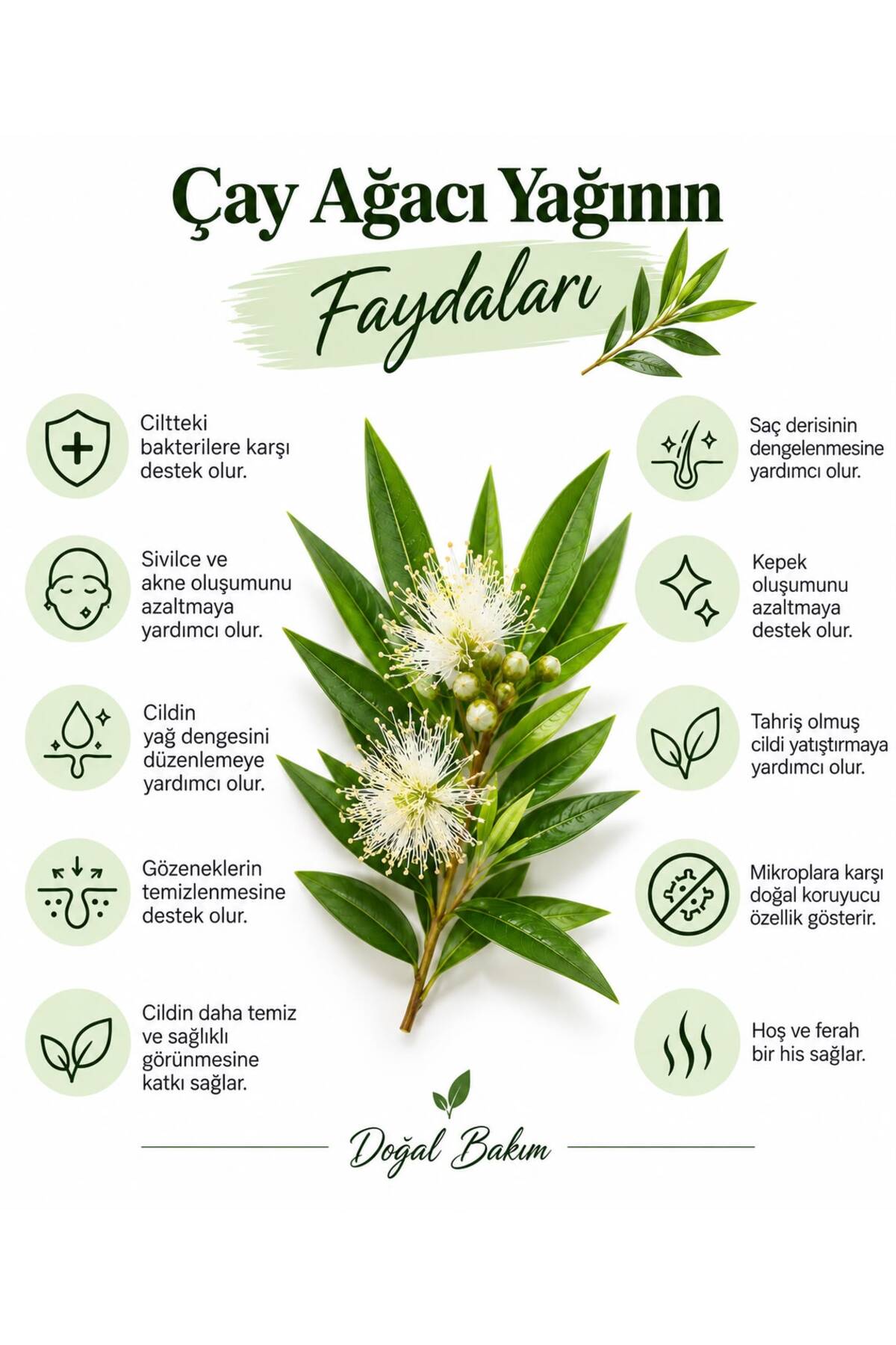 ÇAY AĞACI YAĞI (TEA TREE OIL) 20ml — 003 — تصویر 2 از 5