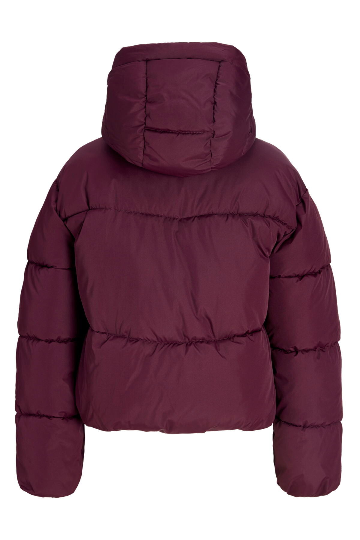Jack & Jones Kadin Yüksek Dik Yaka Puffer Ceket - Maeve görsel 2