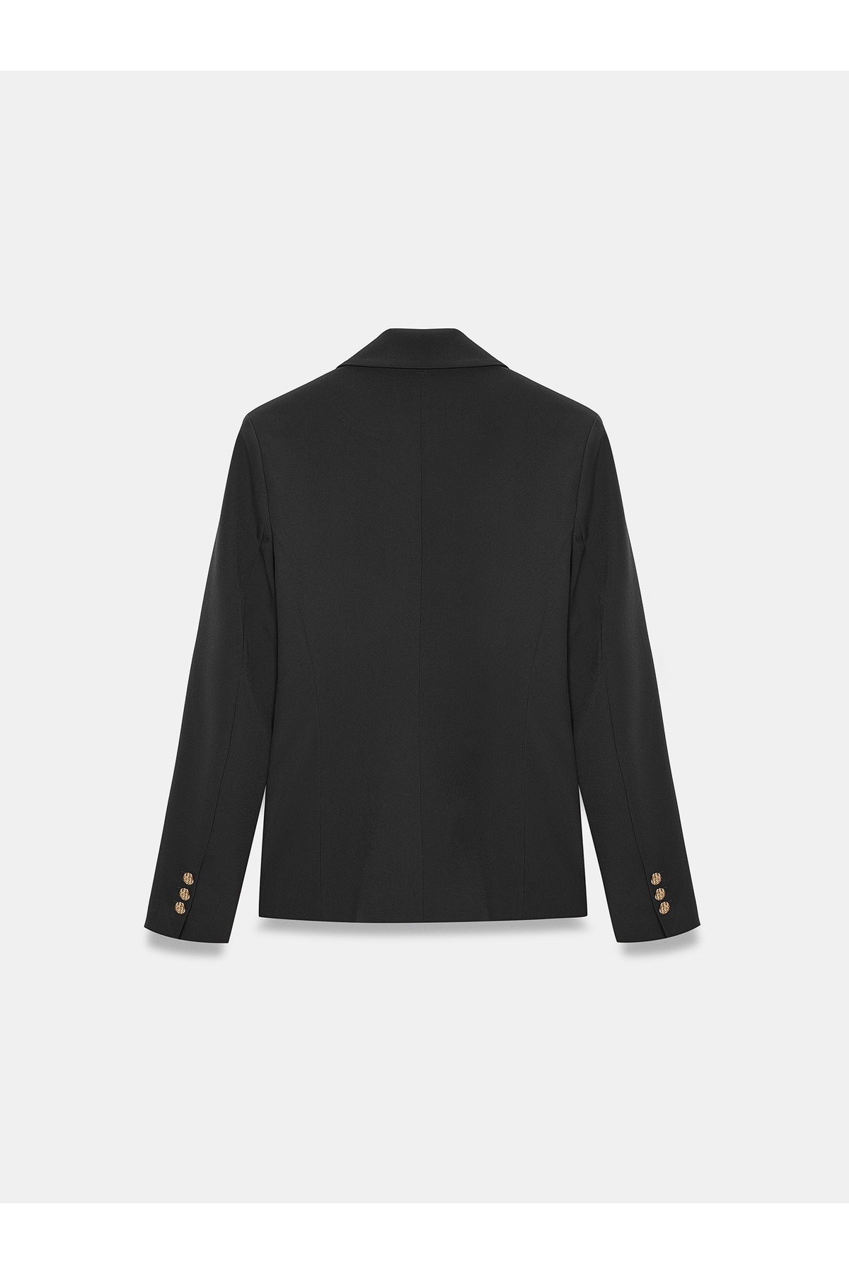 Dilvin 60816 Vücuda Oturan Blazer-Siyah görsel 6