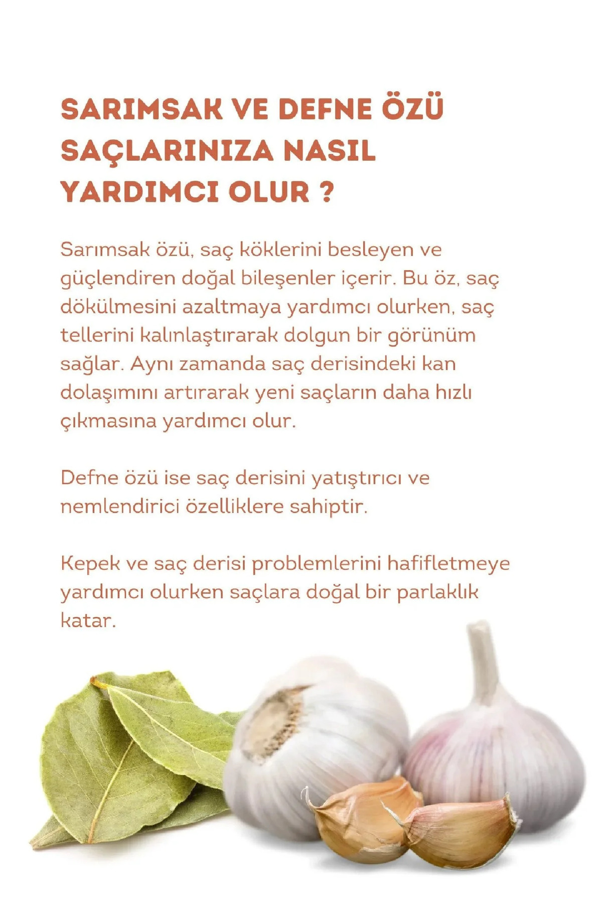 Care Defne Ve Sarımsaklı Saç Bakım Kremi 400 ml — 84977 — تصویر 5 از 5