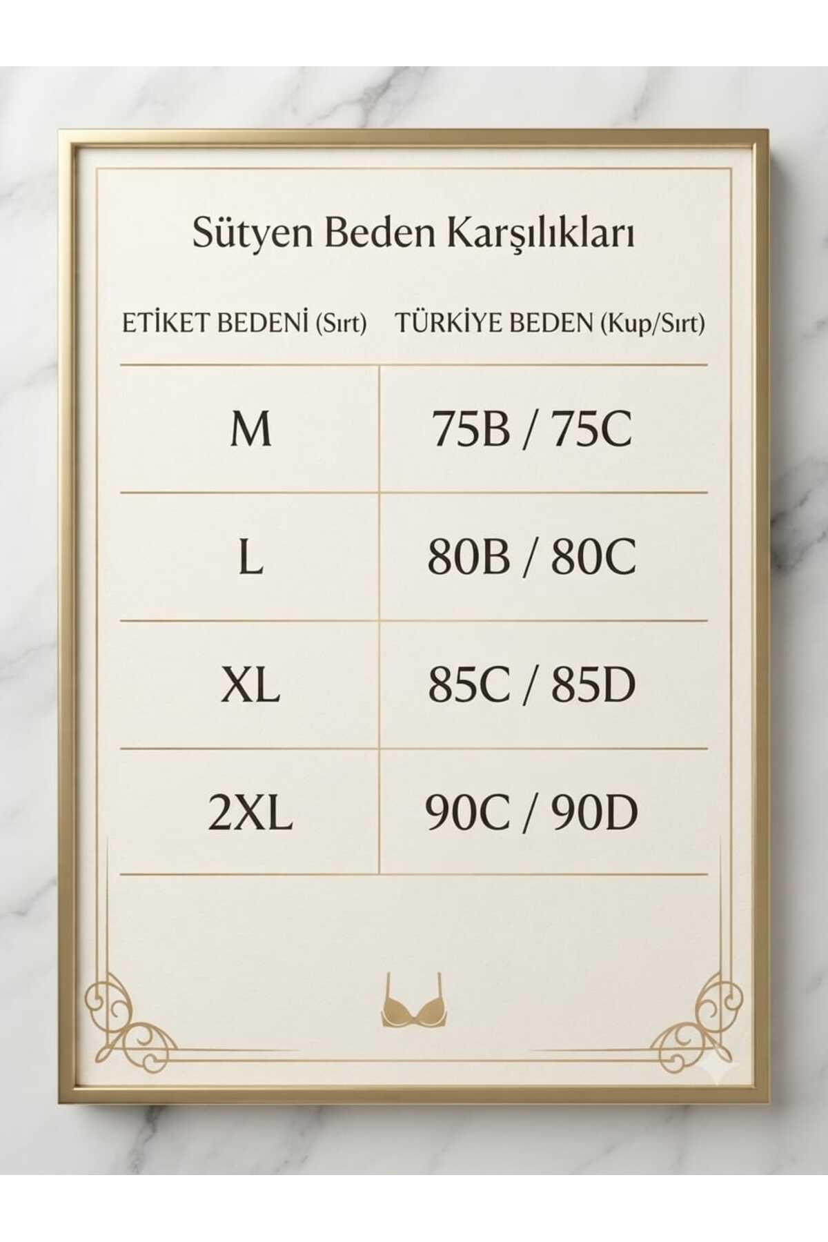 RAYSE DORS Lazer Kesim Dikişsiz İz Yapmaz Pedli Balensiz Push-Up Toparlayıcı Görünmez Sütyen görsel 6