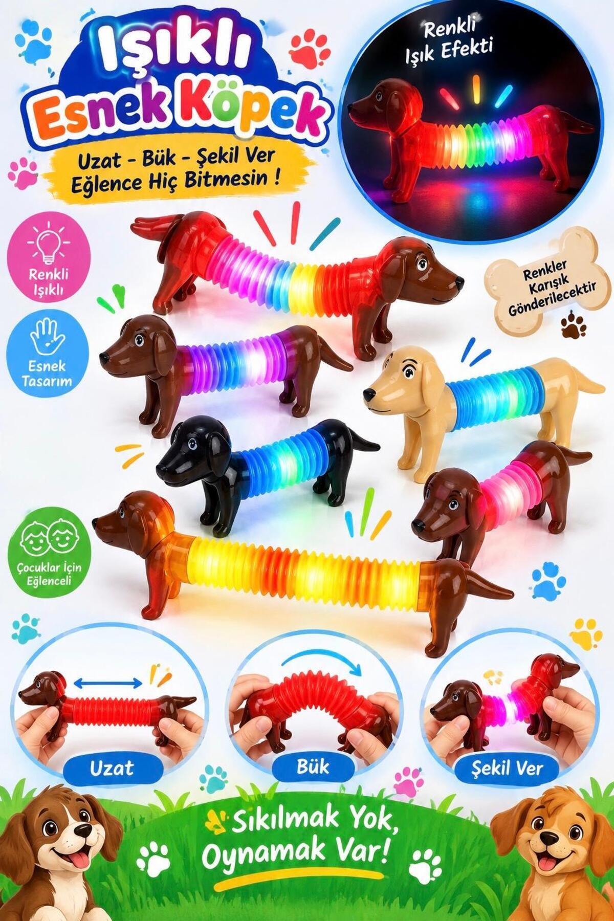 筆記具 BOOWY TM NETWORK TUBE REBECCA HOUND DOG RoseRoi Pop Tubes Boru Işıklı Teleskopik Köpek Figürlü Eğitici