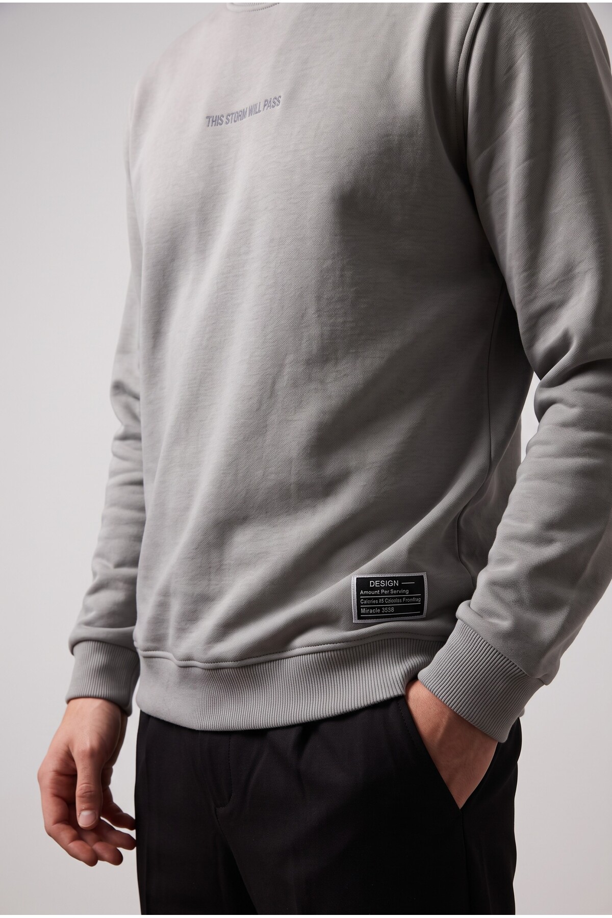aziso Erkek Nakışlı Slim Fit Bisiklet Yaka Gri Sweatshirt 3 Iplilk Şardonlu Kumaş görsel 5