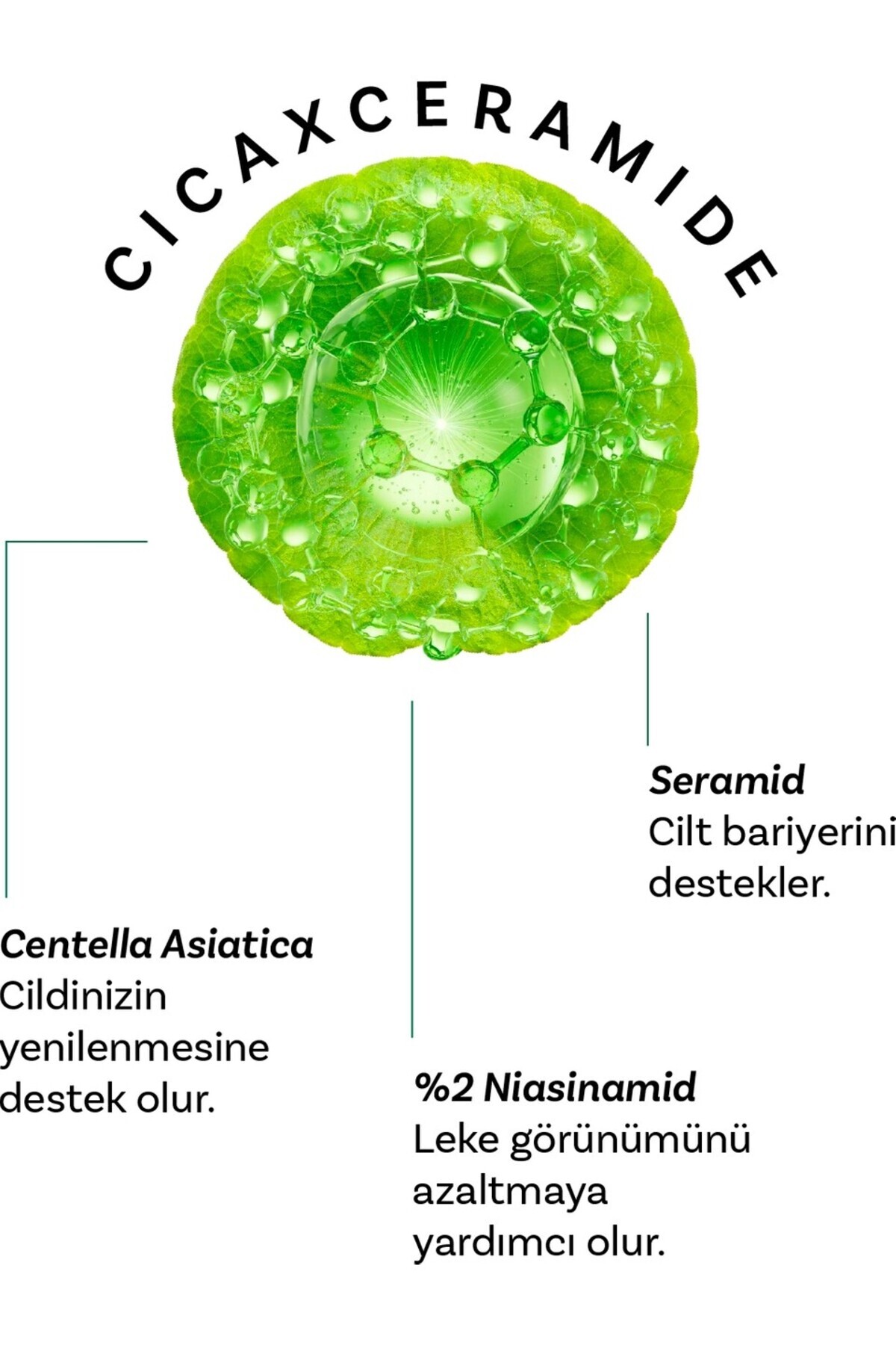 Cıca X Mide Centella Asiatica Özlü Serum ve Tonik — DERMALCİCASET06 — تصویر 6 از 8