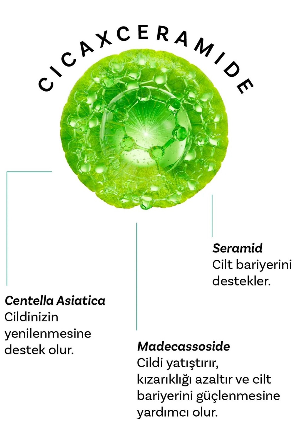 Cıca X Mide Centella Asiatica Özlü Serum ve Tonik — DERMALCİCASET06 — تصویر 7 از 8