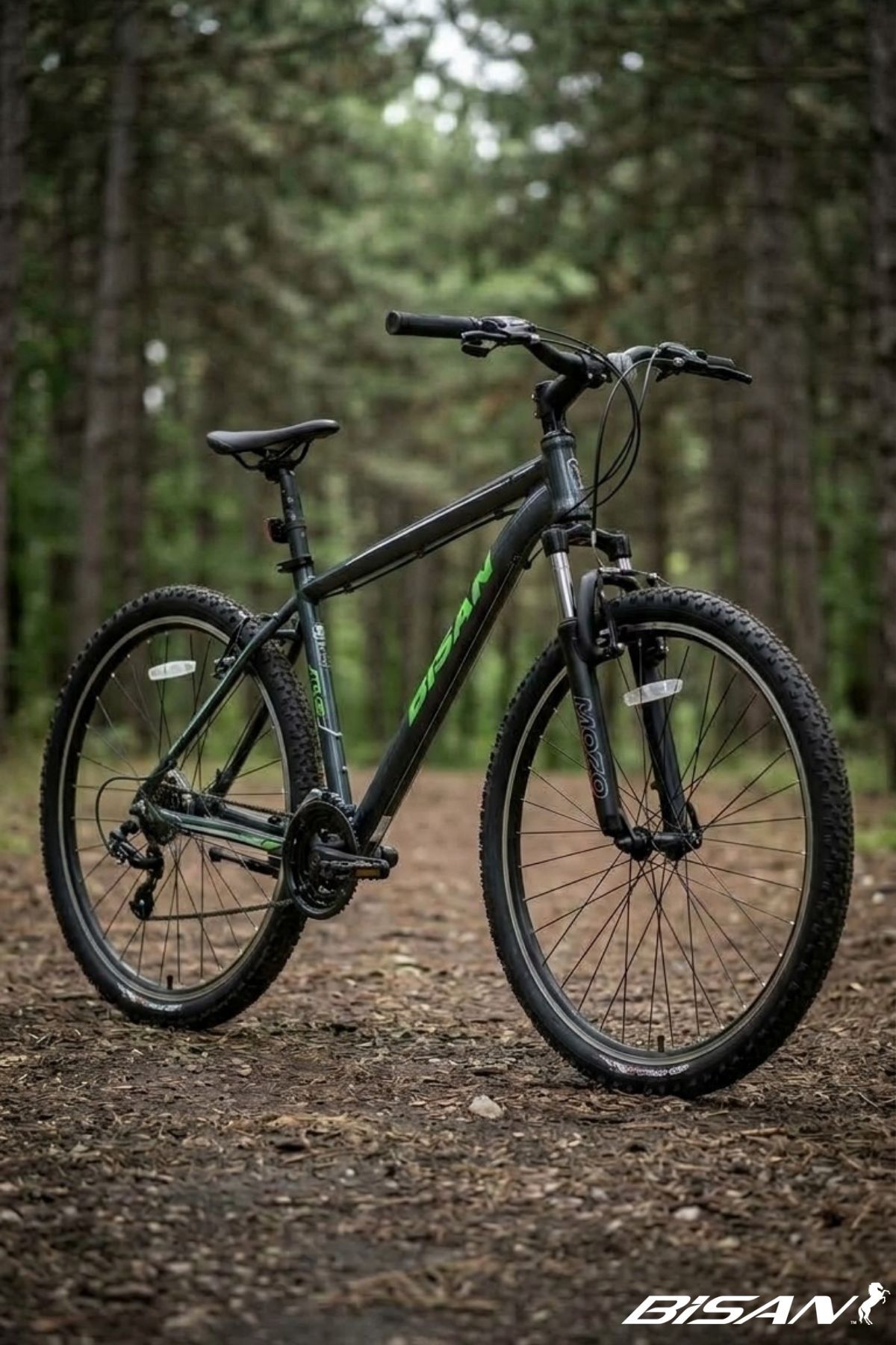Bisan ATLAS ERKEK DAĞ BİSİKLETİ 43CM V 26 JANT 21 VİTES PARLAK GRİ YEŞİL