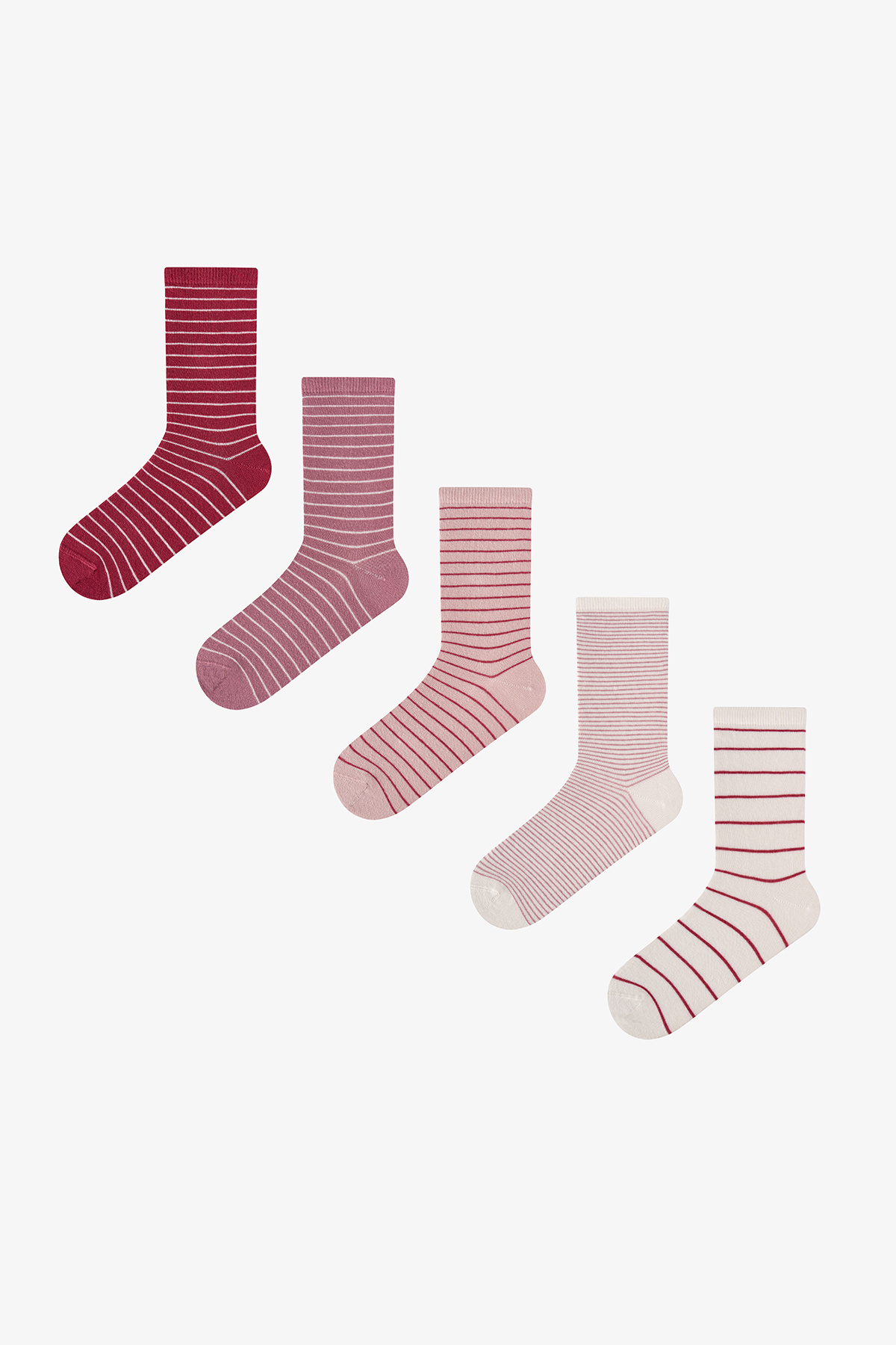 Penti Pembe Bordo Fine Lines Çizgili 5 Çift Soket Çorap