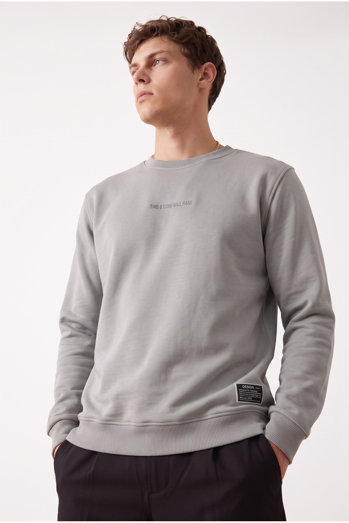 aziso Erkek Nakışlı Slim Fit Bisiklet Yaka Gri Sweatshirt 3 Iplilk Şardonlu Kumaş görsel 2
