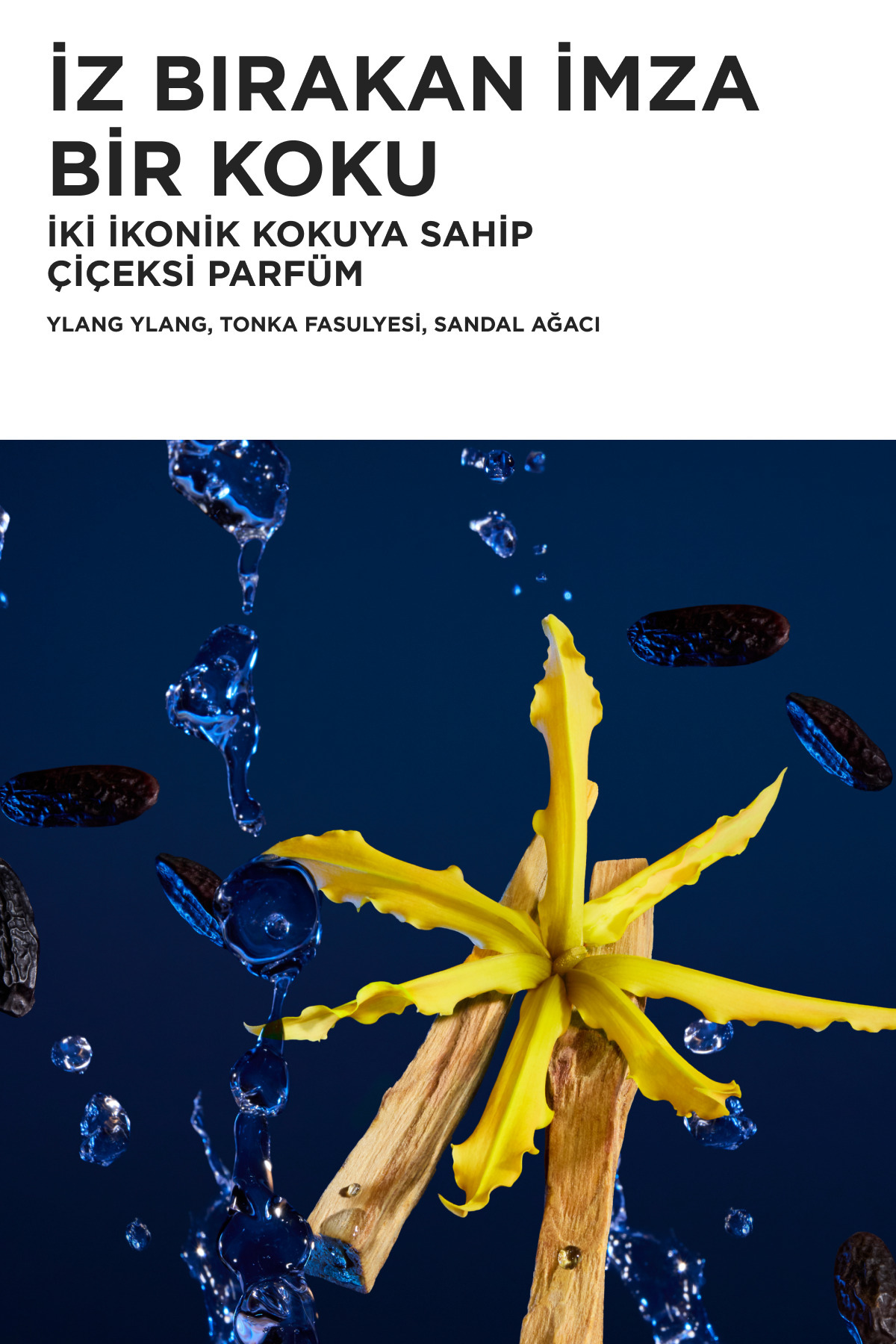 Nutritive 8h Magic Night Yoğun Besleyici Gece Serumu Duo Set 120 ml — E4580701 — تصویر 6 از 8