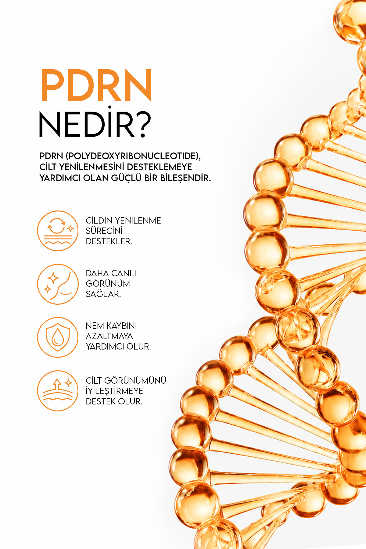PDRN Premium Bakım Seti – PDRN Somon DNA Serum + Glow Face Mist + SPF50+ Ceramide Güneş Kremi | Nemlendirici, Aydınlatıcı ve Cilt Bakım Seti — PDRN-ST1 — تصویر 4 از 9
