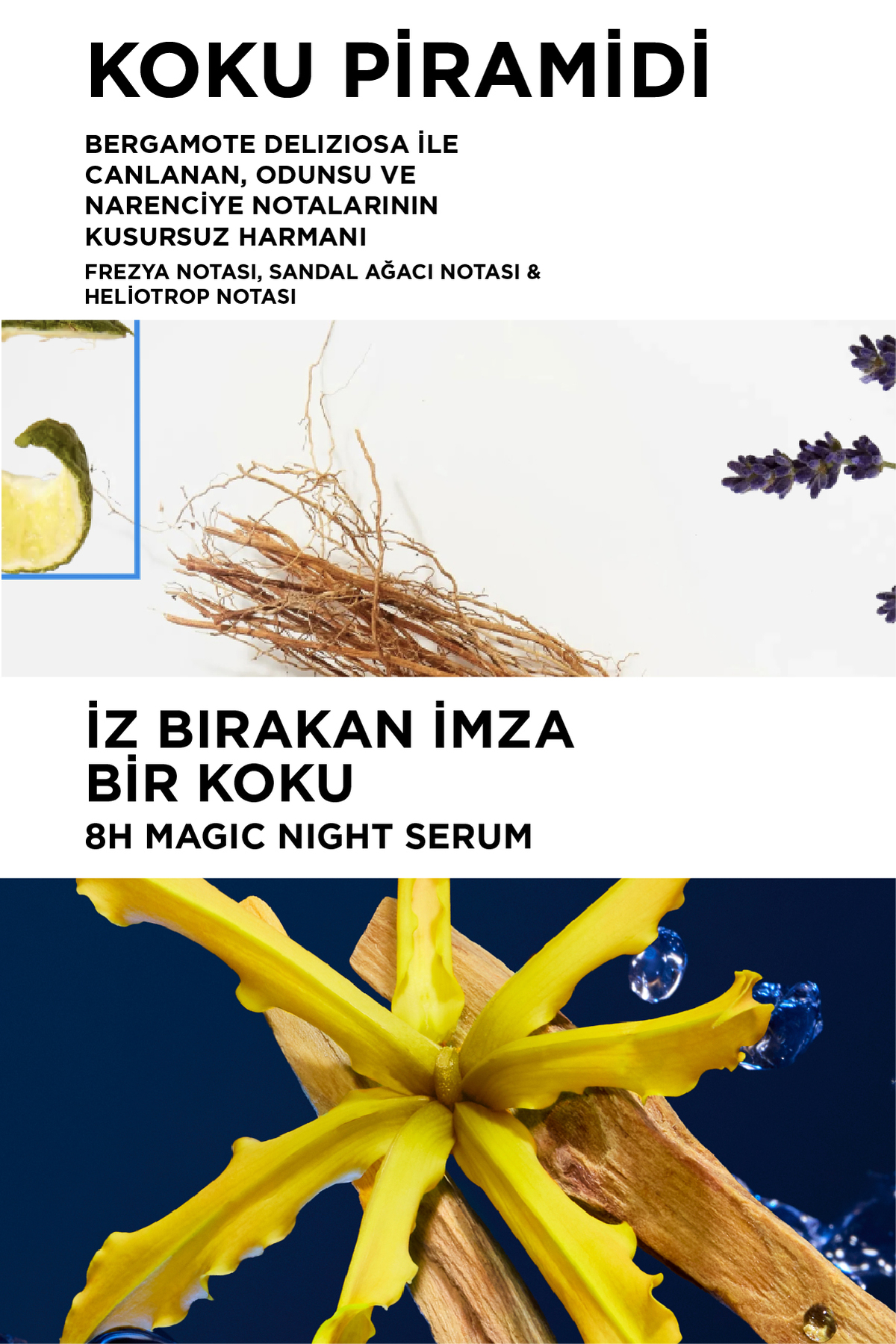 Genesis & Nutritive Magic Night Duo Saç Bakım Seti 120ml — K HERO DUO EU SET — تصویر 8 از 9