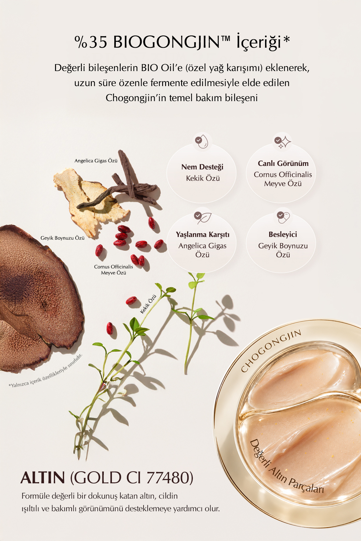 Total Yaşlanma ve Kırışıklık Karşıtı Bakım Sunan Göz Kremi CHOGONGJIN Youngan Jin Eye Cream — 6651 — تصویر 3 از 6