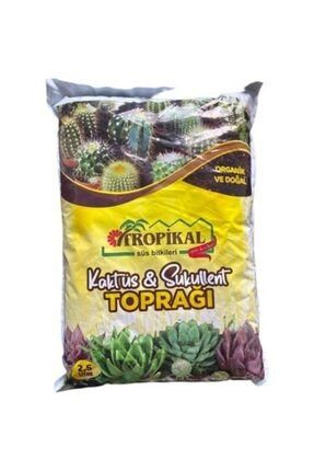 Tropikal Vitaminli Besleyici Kaktüs Sukulent Toprağı 2,5 Lt kaktop