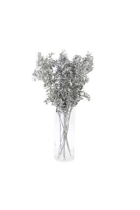 Dekoratif Kurutulmuş Ruskus (kokina) Demeti Gümüş Kurutulmuş Çiçek Bitki Ruskus-Kokina-Demeti