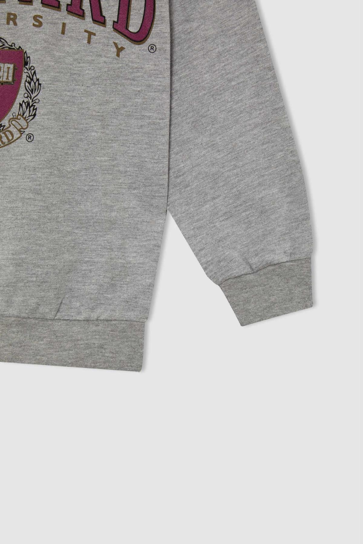 سویشرت پسرانه خاکستری Defacto | W6961A621WN اورجینال - تصویر 3