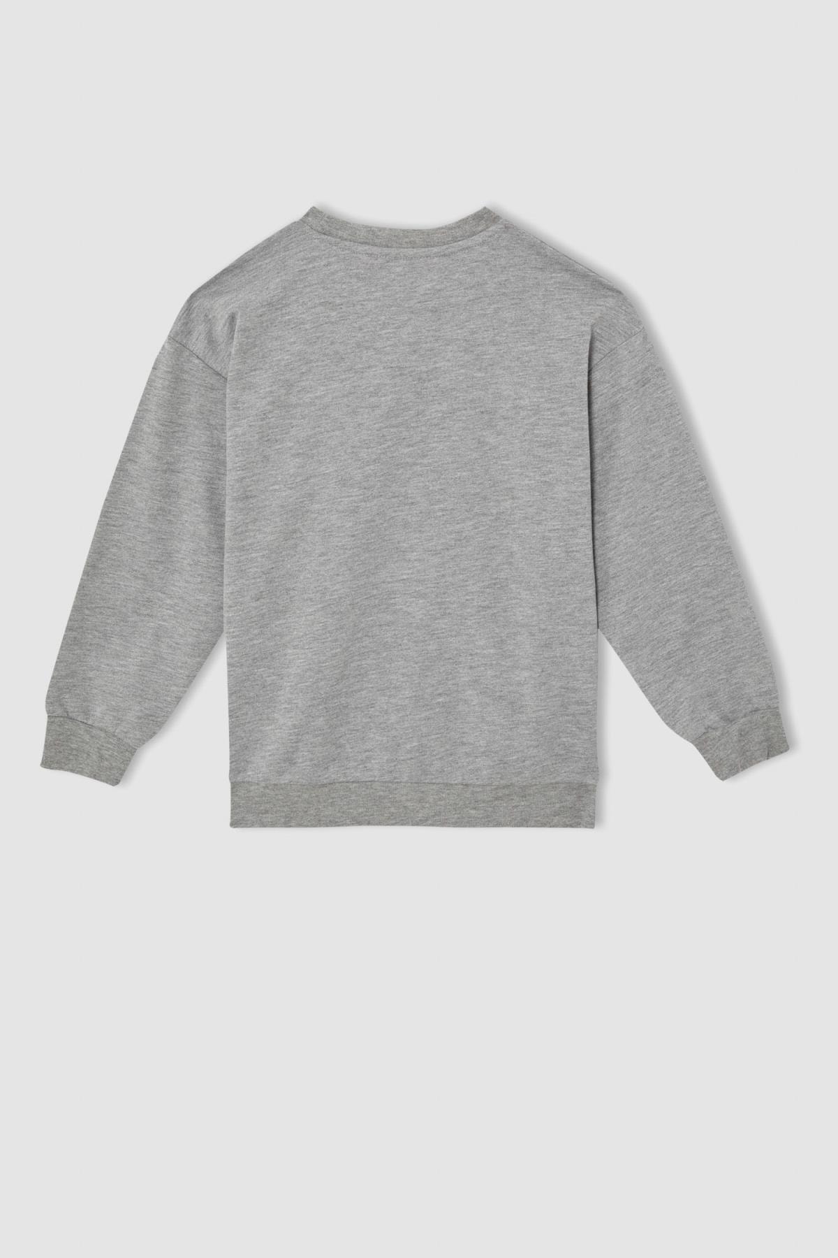 سویشرت پسرانه خاکستری Defacto | W6961A621WN اورجینال - تصویر 4