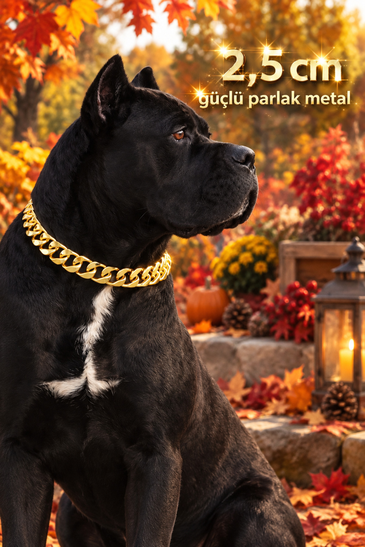 LOOL PREMİUM 2.5cm METAL KALIN ZİNCİR TASMA KÖPEK ZİNCİR KOLYE