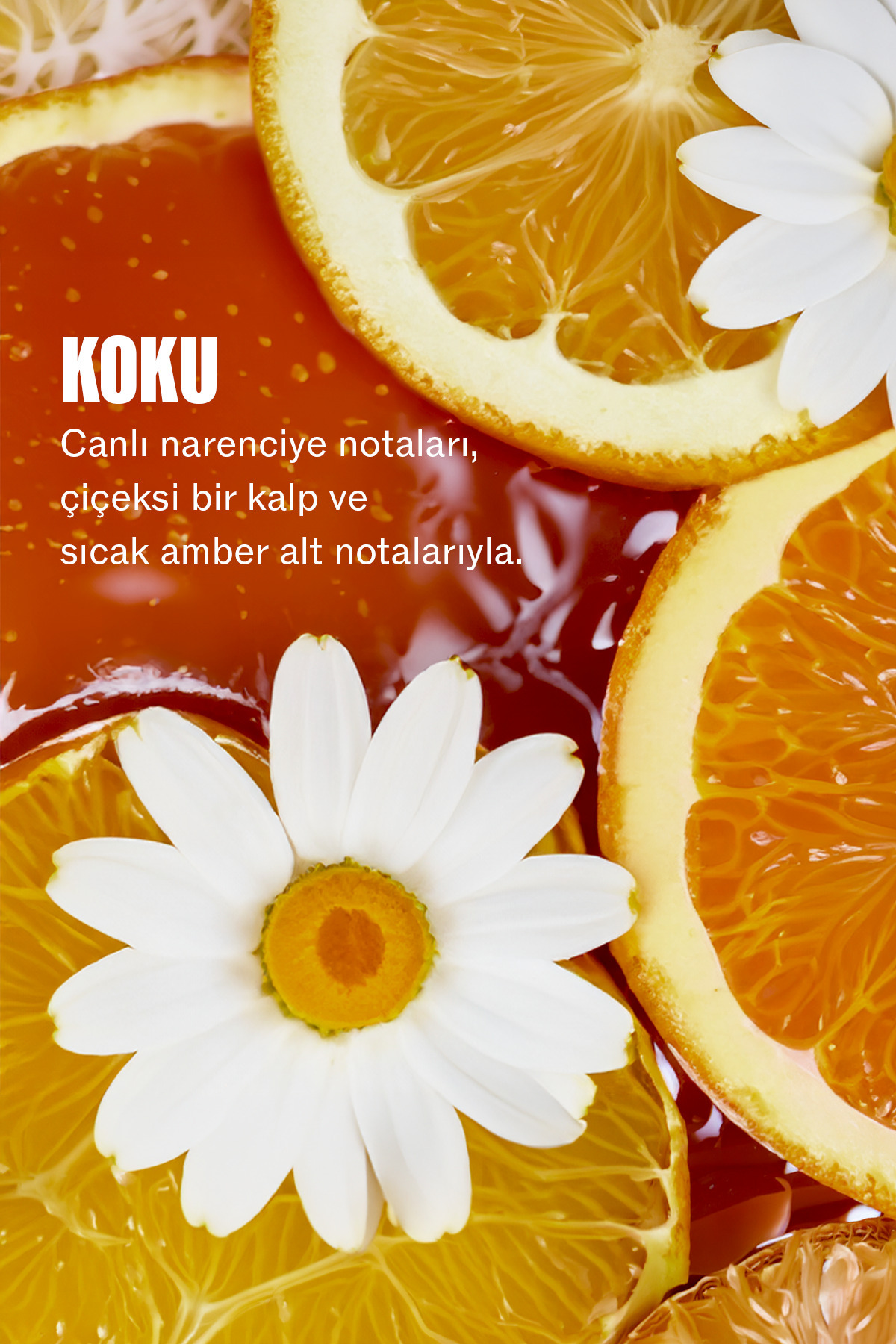 Ultimate Smooth Kuru, Mat ve Elektriklenen Saçlar İçin Saç Bakım Kremi 200 ML — 4064666945286 — تصویر 8 از 8