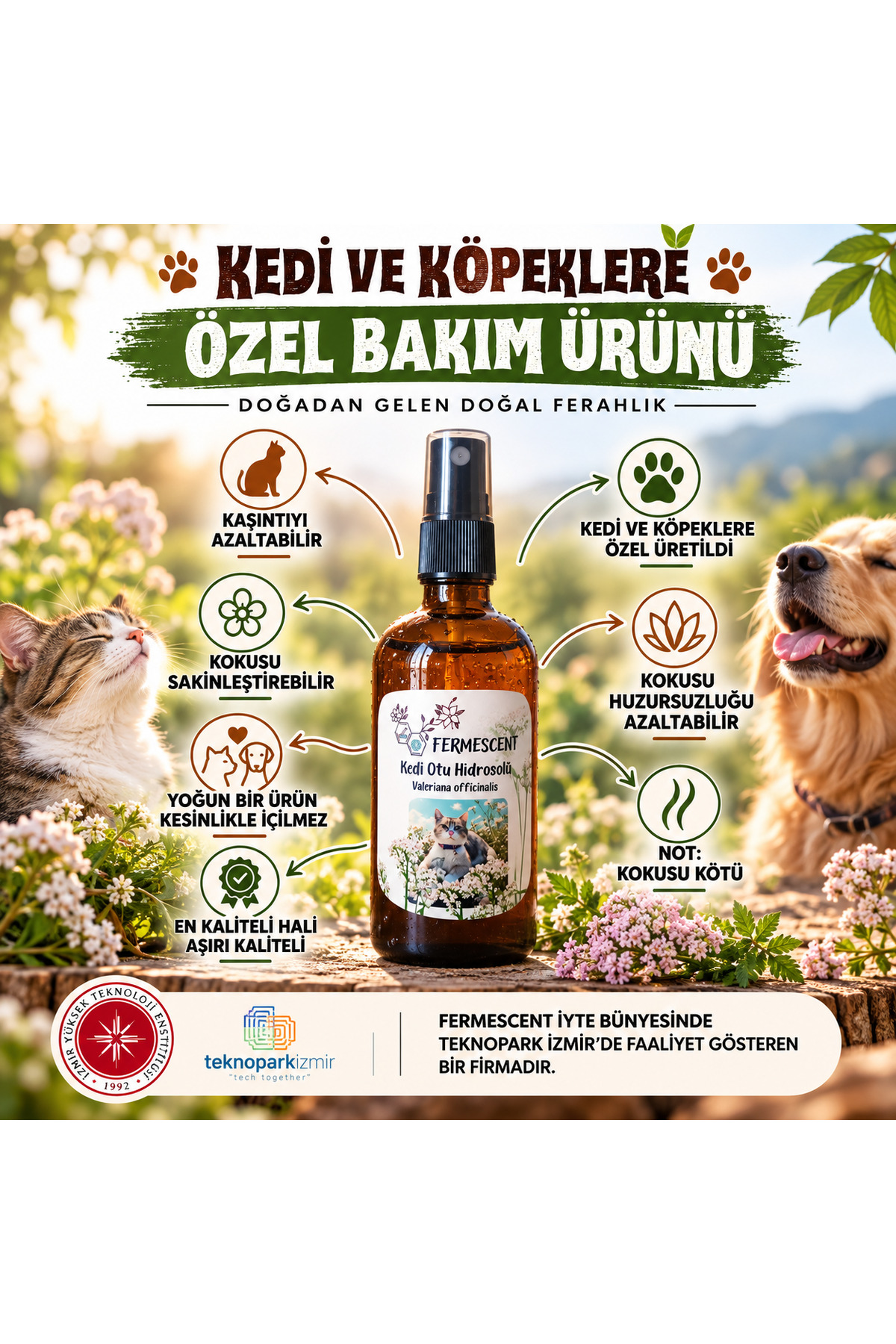 Kedi Otu Suyu Hidrosolü Kedi ve Köpekler İçin Doğal Bakım Toniği 100 ml — 3535070708
