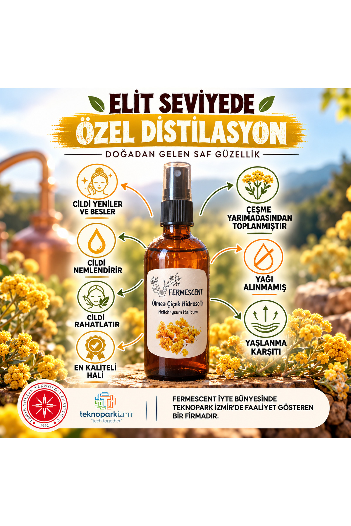 Ölmez Çiçek Hidrosol Altın Otu Cilt Yenileyici Doğal Tonik 100 ml — 35350707