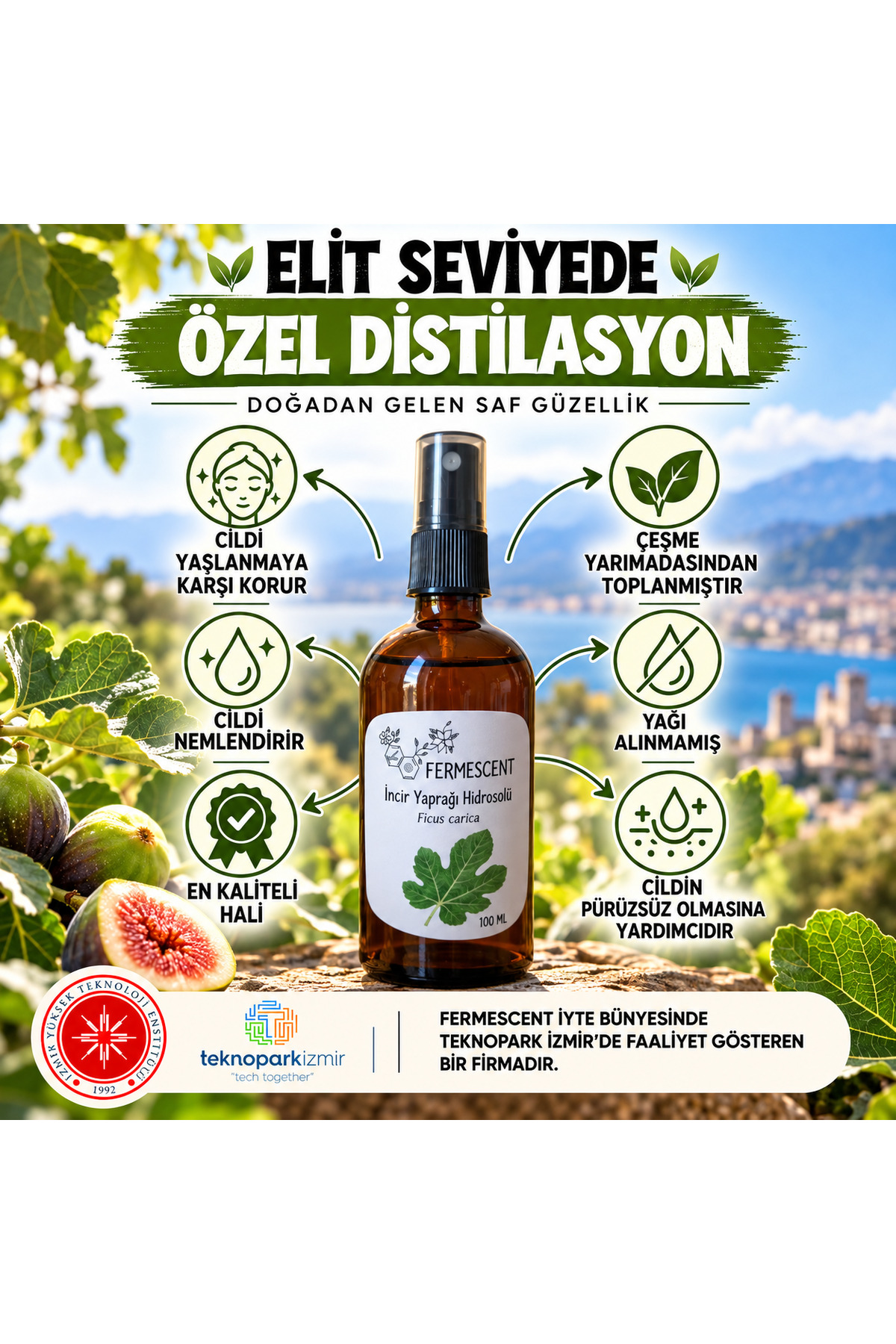 İncir Yaprağı Suyu Hidrosolü Akneye Eğilimli Ciltler İçin Arındırıcı Tonik 100 ml — 350765